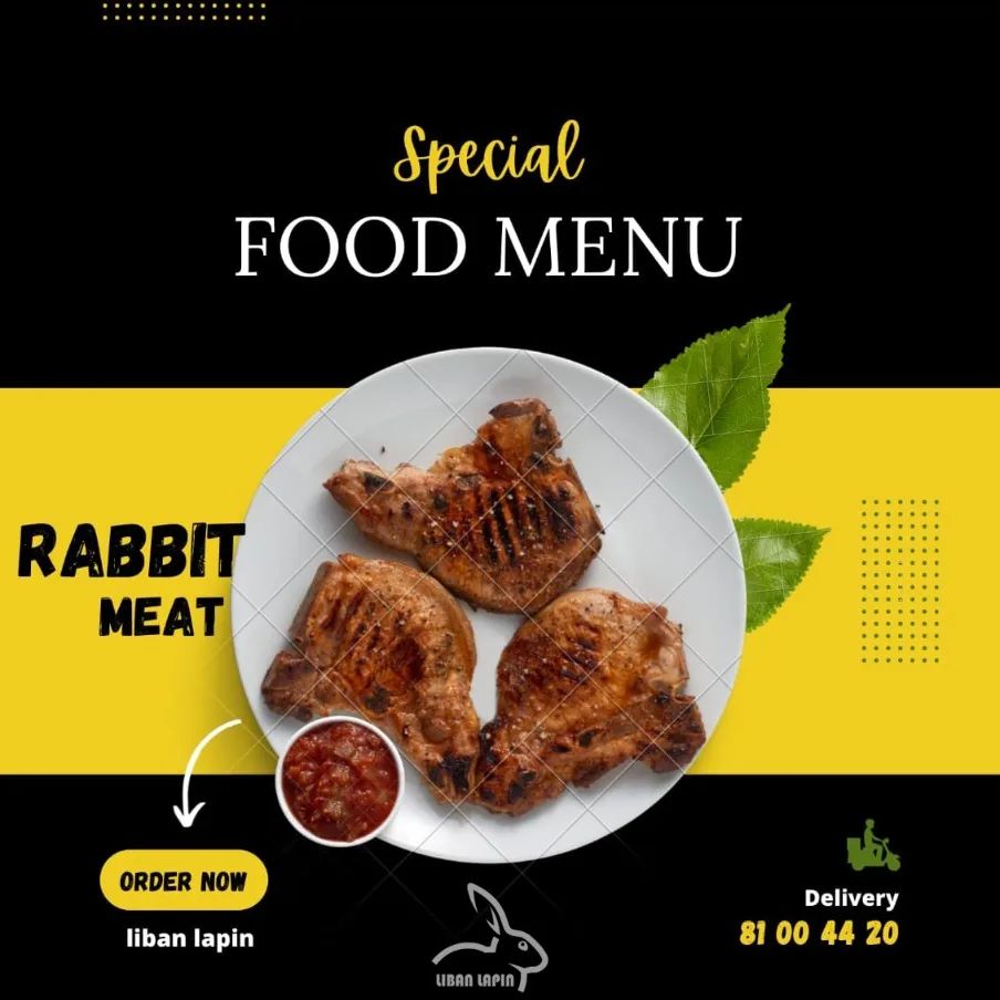 LIBAN LAPIN - Try the first Rabbit Meat Farm in Lebanon.... | Facebook