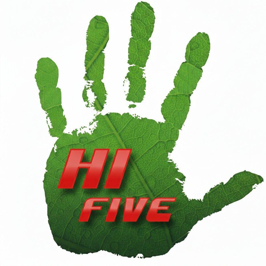 Hi Five community Development Corporation