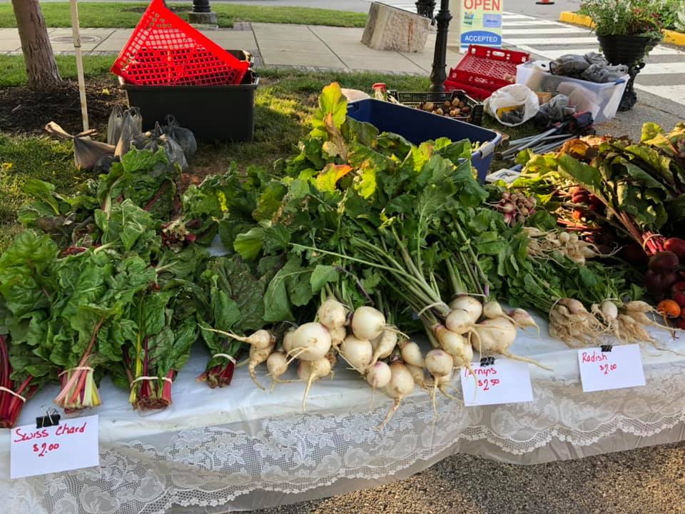 Strong Roots Family Farm | Madison IN