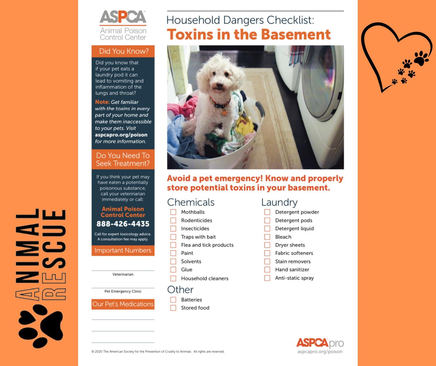 ARE Animal Rescue | 🐾🐈‍⬛ 𝐌𝐚𝐫𝐜𝐡 𝐢𝐬 𝐏𝐞𝐭 𝐏𝐨𝐢𝐬𝐨𝐧 𝐏𝐫𝐞𝐯𝐞𝐧𝐭𝐢𝐨𝐧 𝐌𝐨𝐧𝐭𝐡 | Facebook