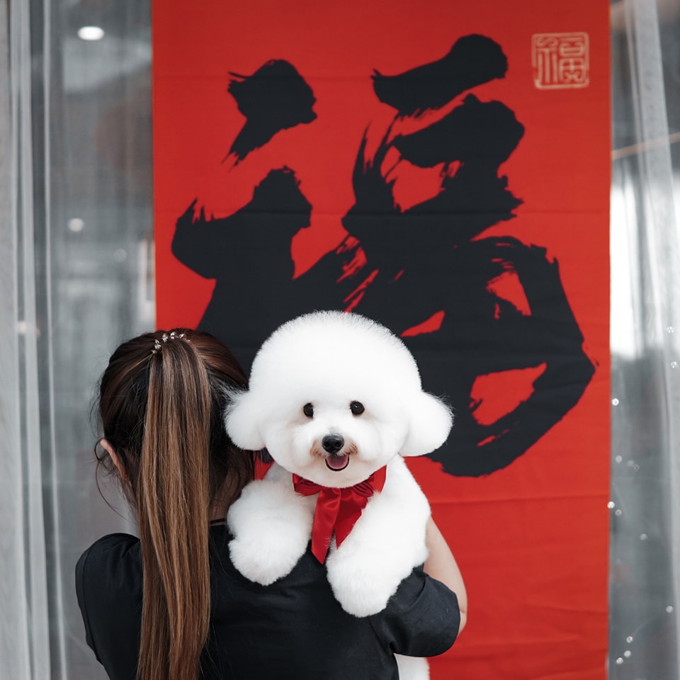 The Fox Butler Pet Lifestyle Store | Bayan Lepas