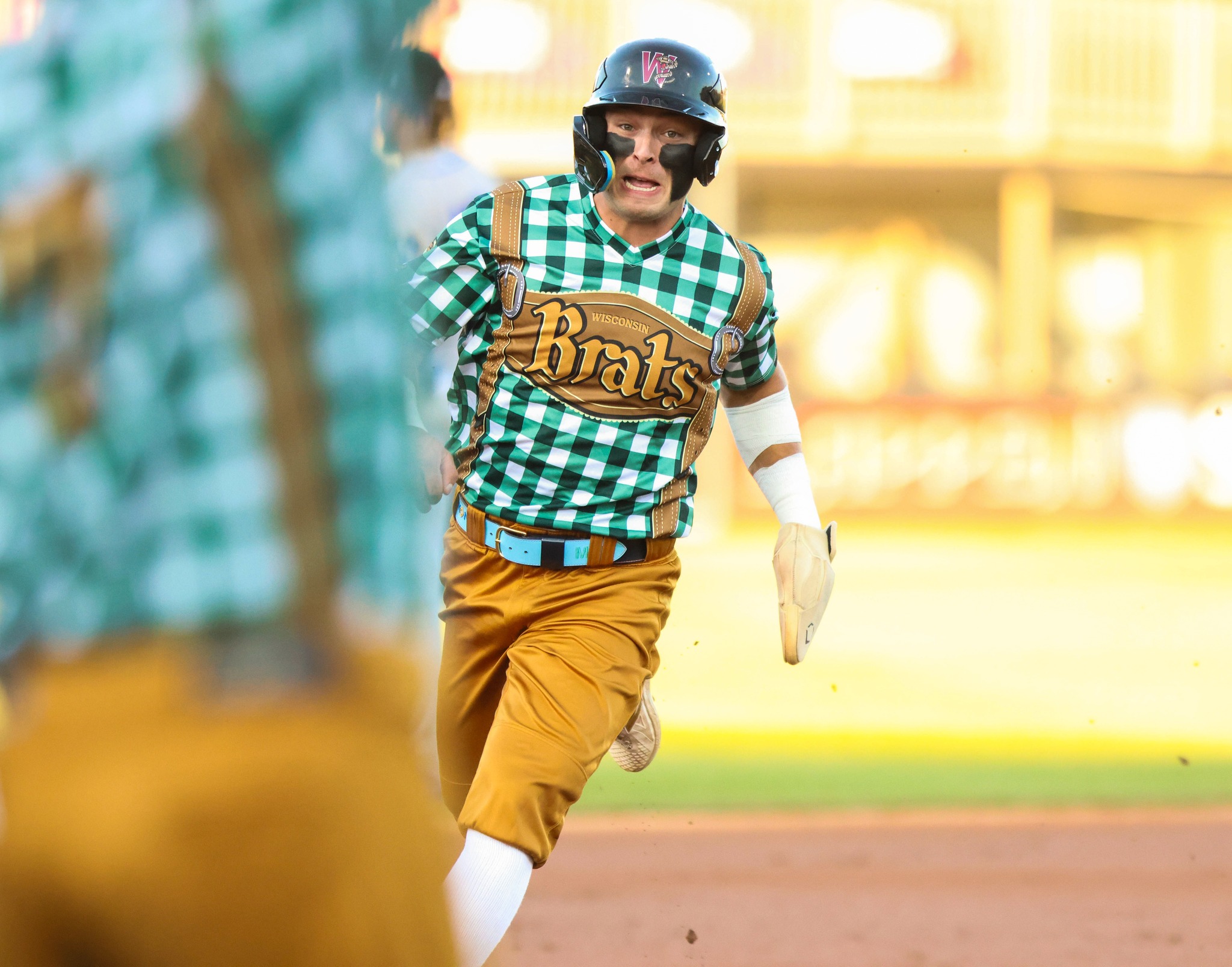 Wisconsin Timber Rattlers... - Wisconsin Timber Rattlers