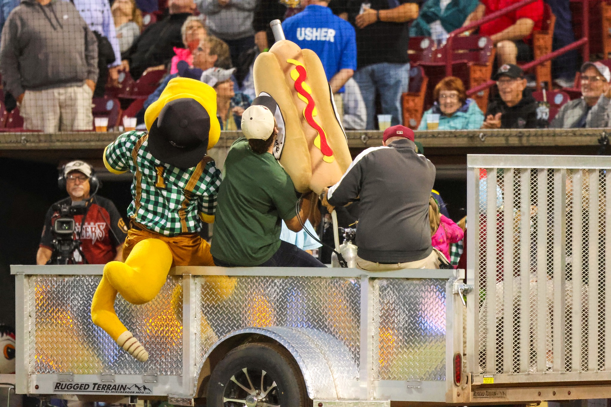 Wisconsin Timber Rattlers... - Wisconsin Timber Rattlers