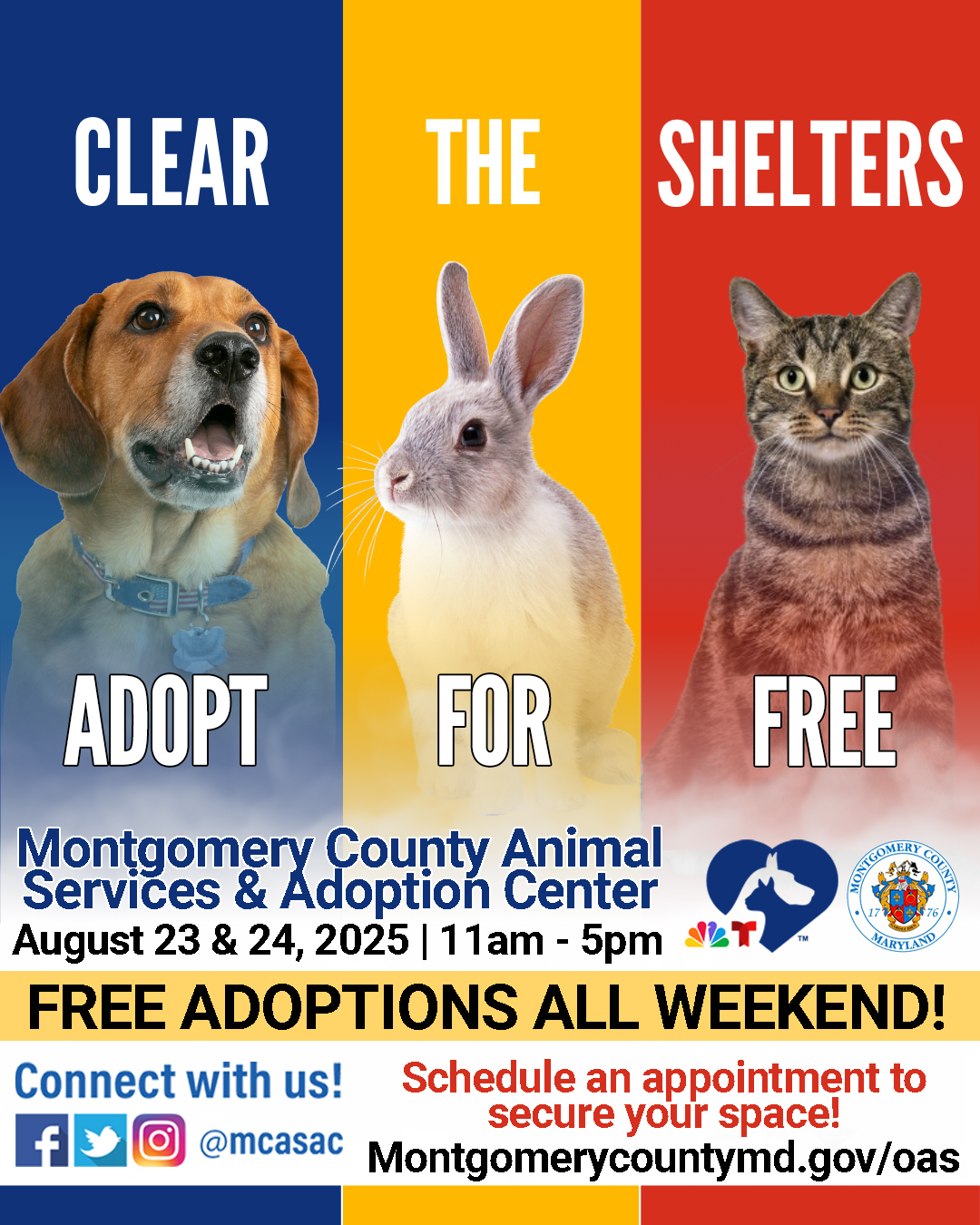 🐾 Looking to add a new... - Montgomery County, MD Government | Facebook