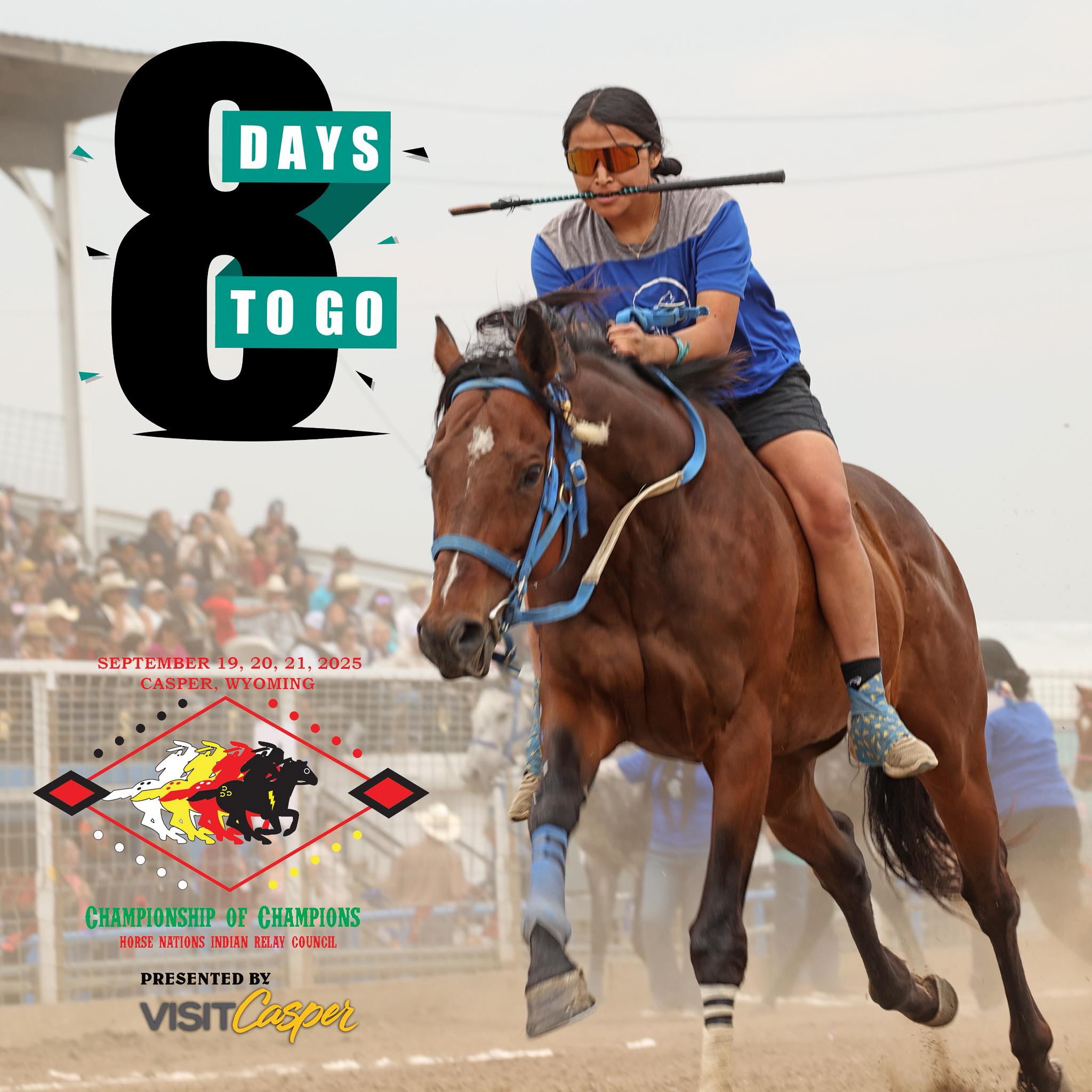 Horse - 🔥 8 DAYS TO GO! 🔥 The Championship of Champions is almost here ...