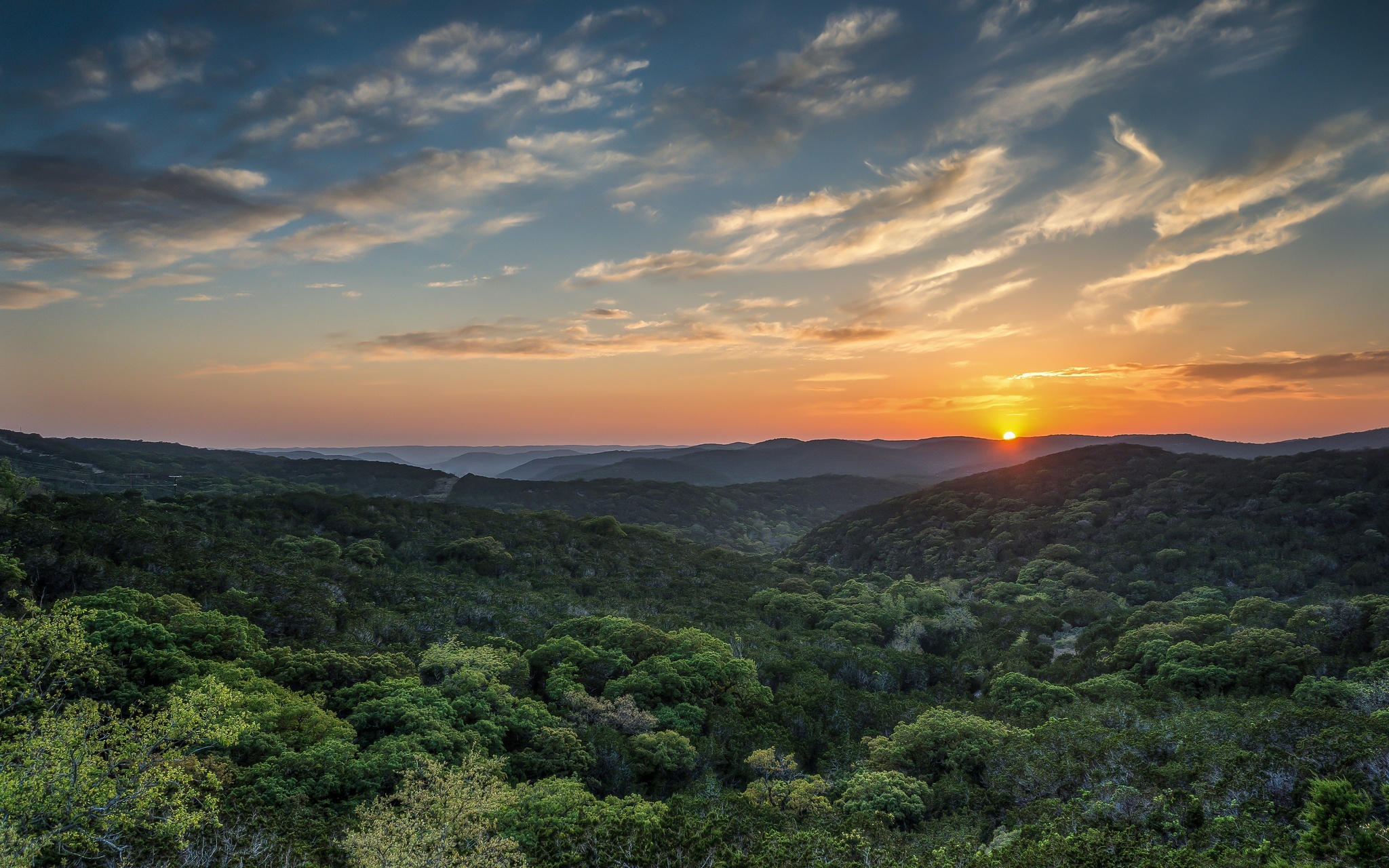Shipley Ranches | Austin TX