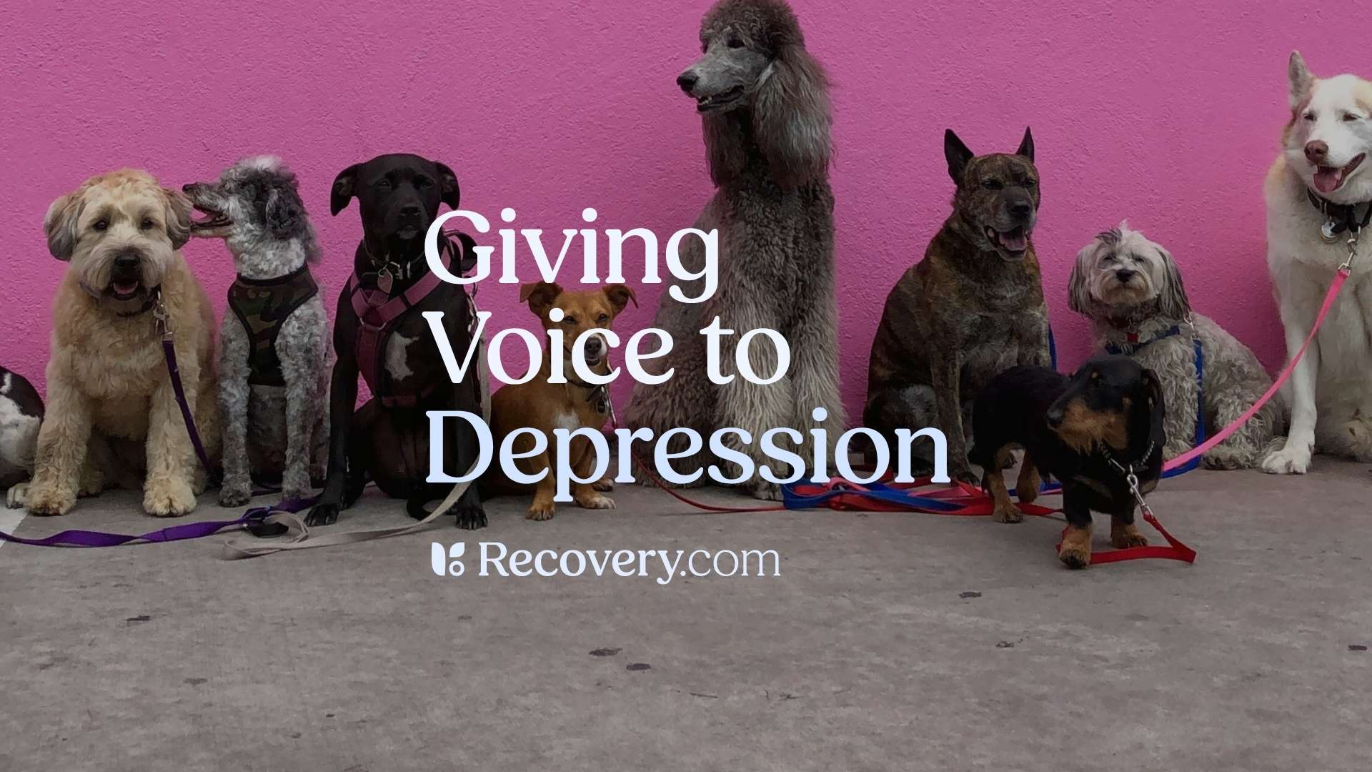G... - Porter County Suicide Prevention & Awareness Task Force | Facebook