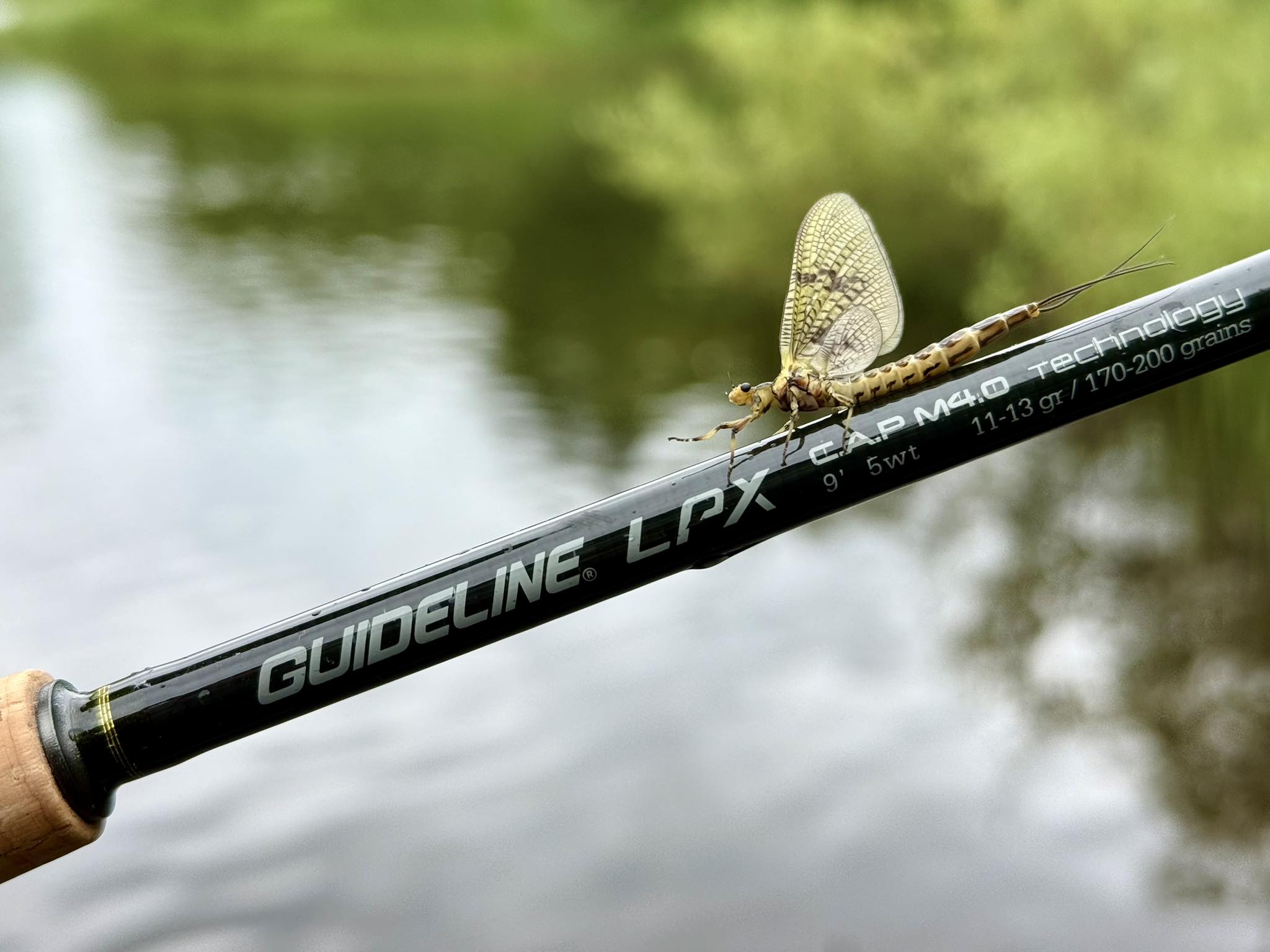 equip fishing pole macro Fish Armor LIVE SCOPE 60 INCH Garmin/Lowrance professional setups that transition seamlessly from ice to open water.Easily transition your pole from winter to summer with the Pro Pole Boat Mount system (available separately) Update to a Fishing Gear