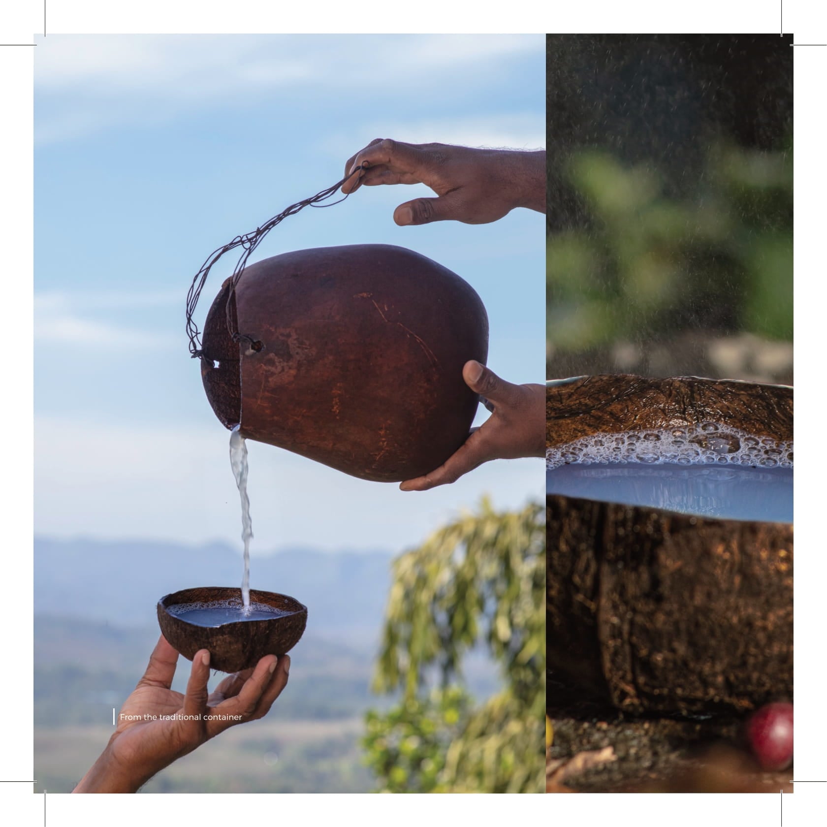 Raga - Kithul ‘raa’, (Kithul toddy) made by fermenting the... | Facebook