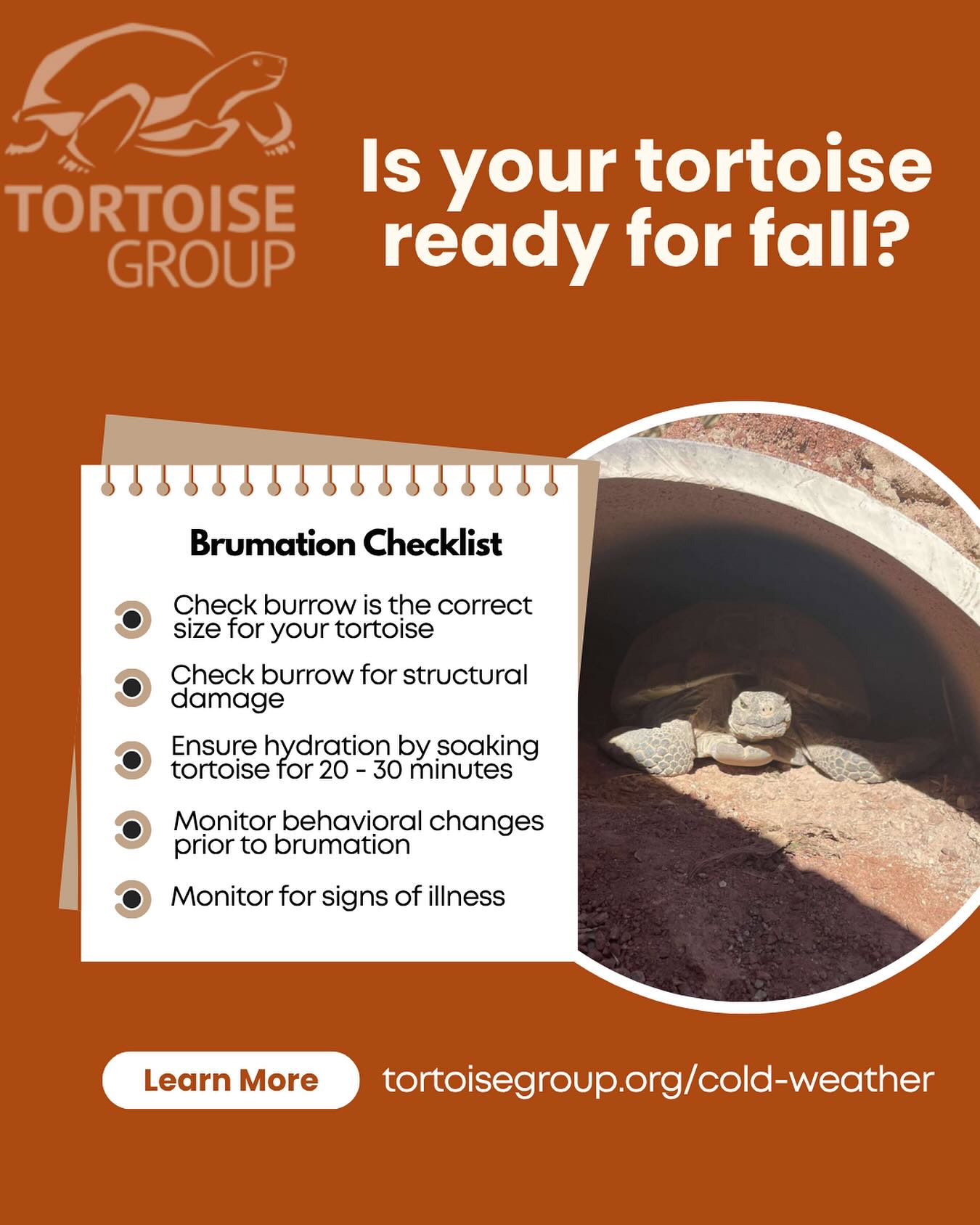 Tortoise Group | Las Vegas NV