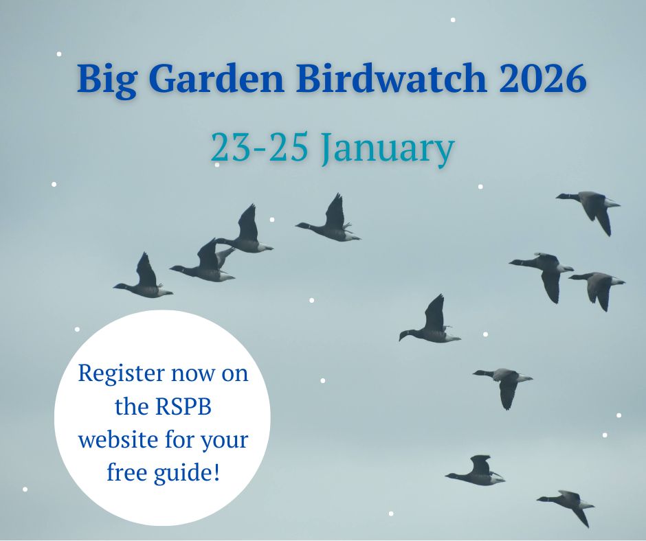 RSPB - Our 2026 Big Garden Birdwatch is this weekend! Don't forget to ...