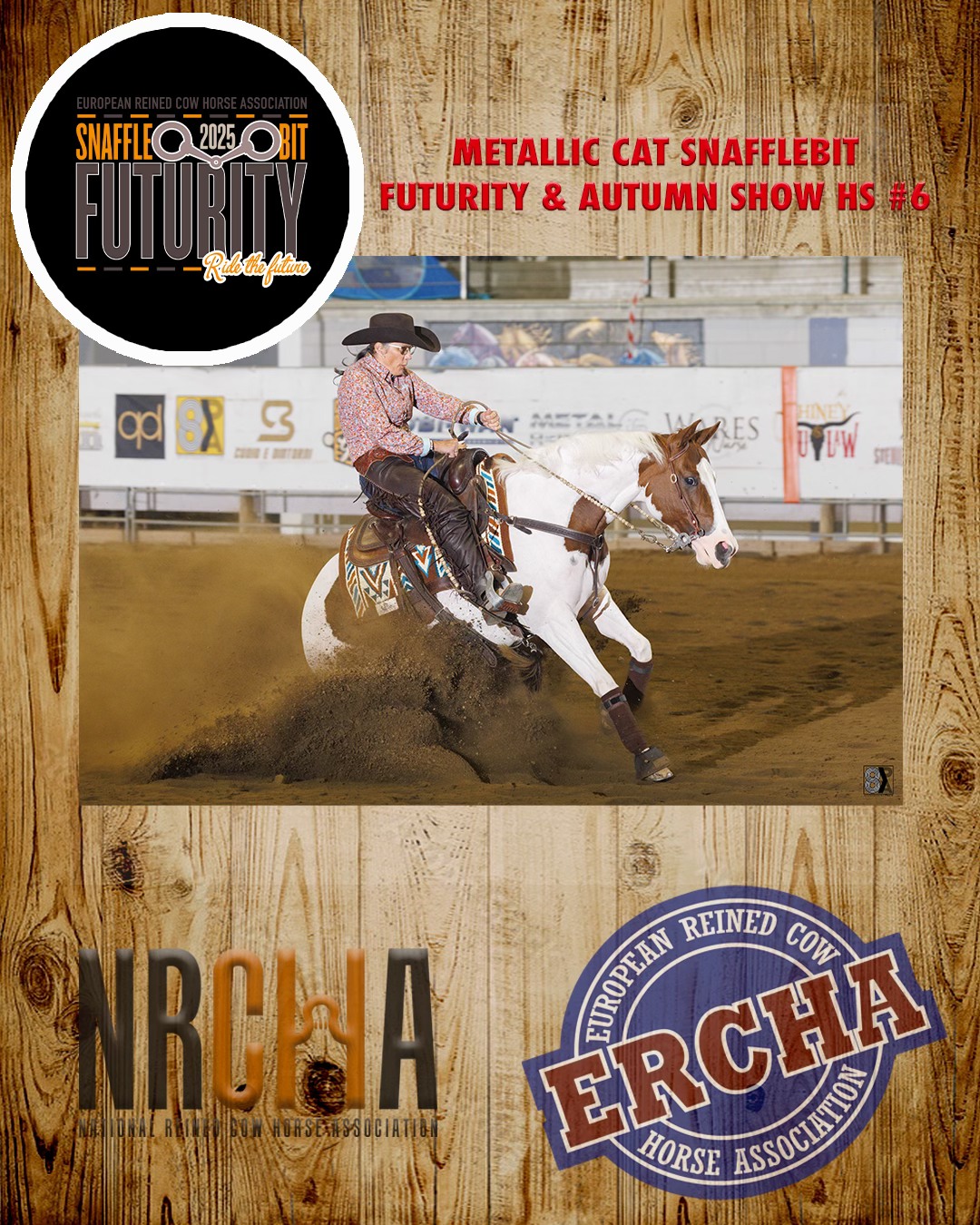 ERCHA - 2025 ERCHA/NRCHA Metallic Cat Snafflebit Futurity & HS#6 Marie ...