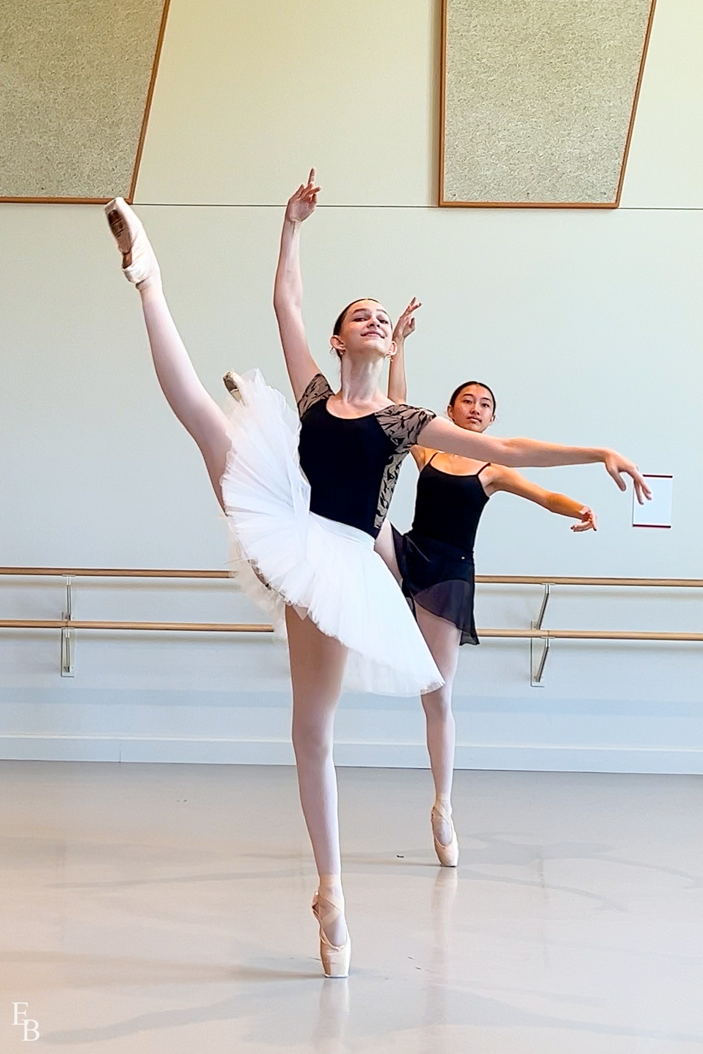 Ellison Ballet | New York NY