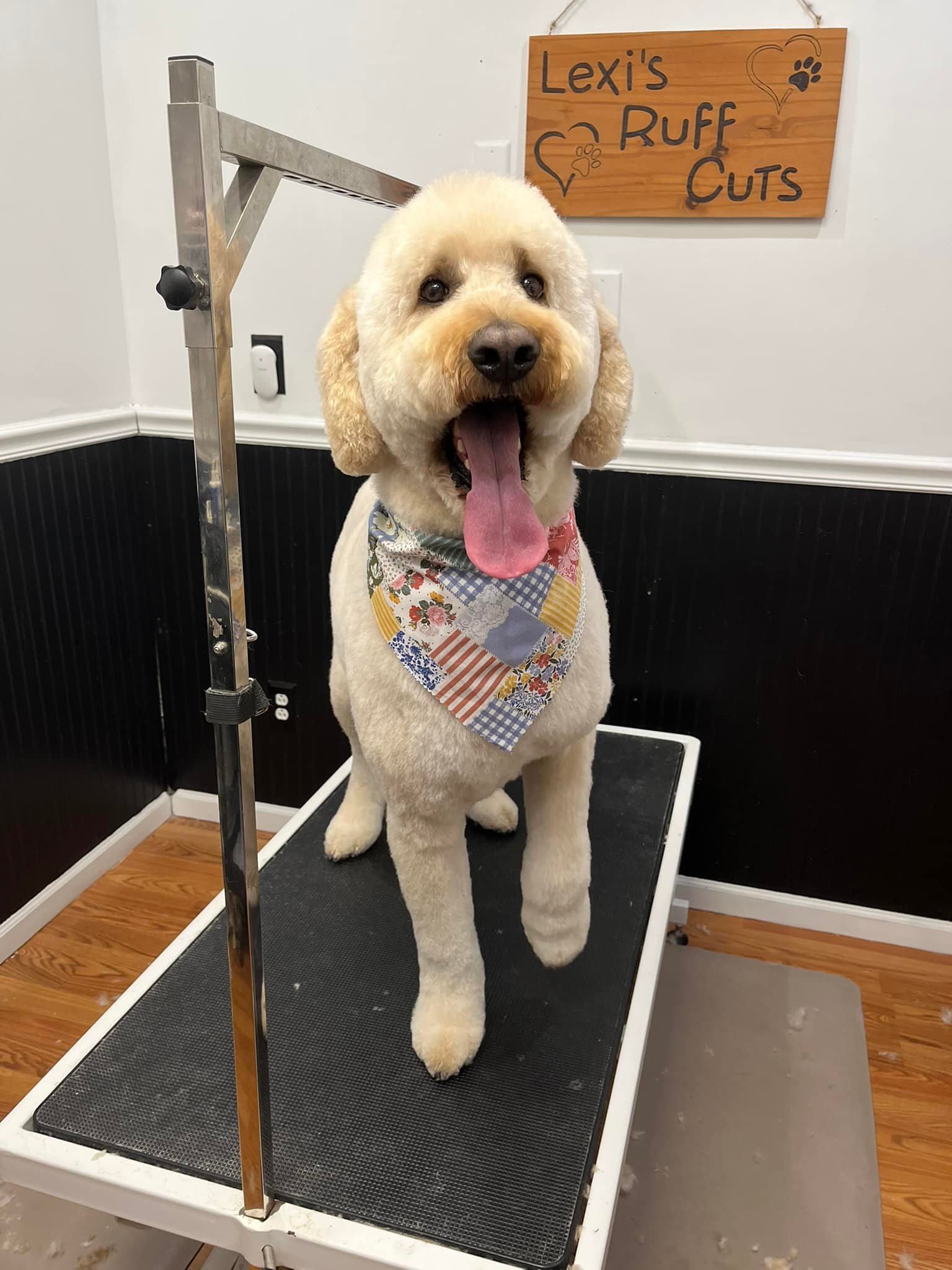 Lexi's Ruff Cuts added a new photo. - Lexi's Ruff Cuts