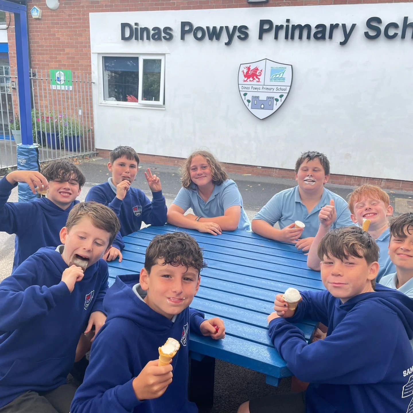 friends-and-family-of-dpps-dinas-powys