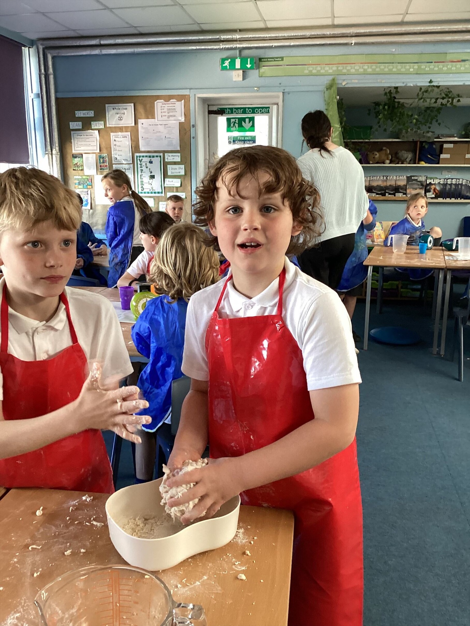 plaistow-hill-primary-and-nursery-school-plymouth