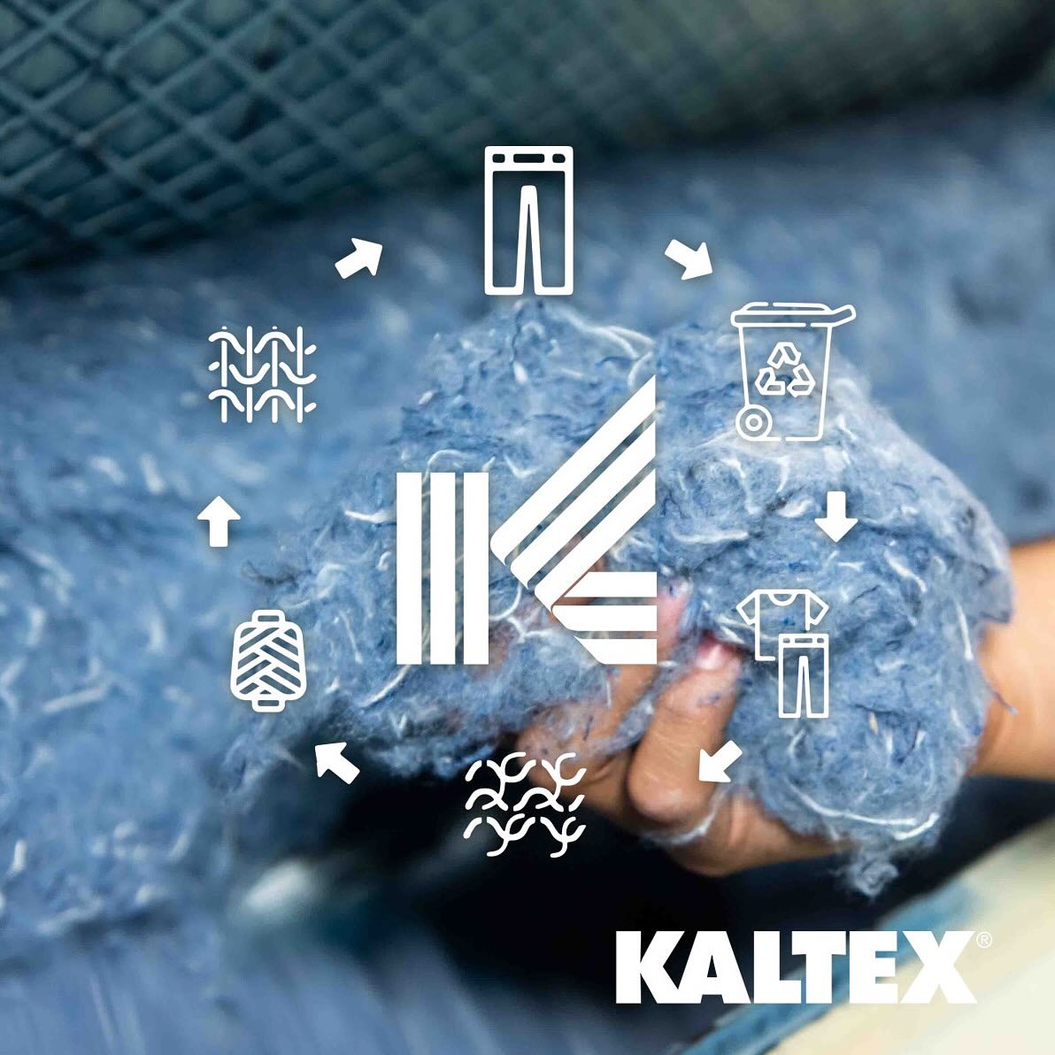 Grupo Kaltex