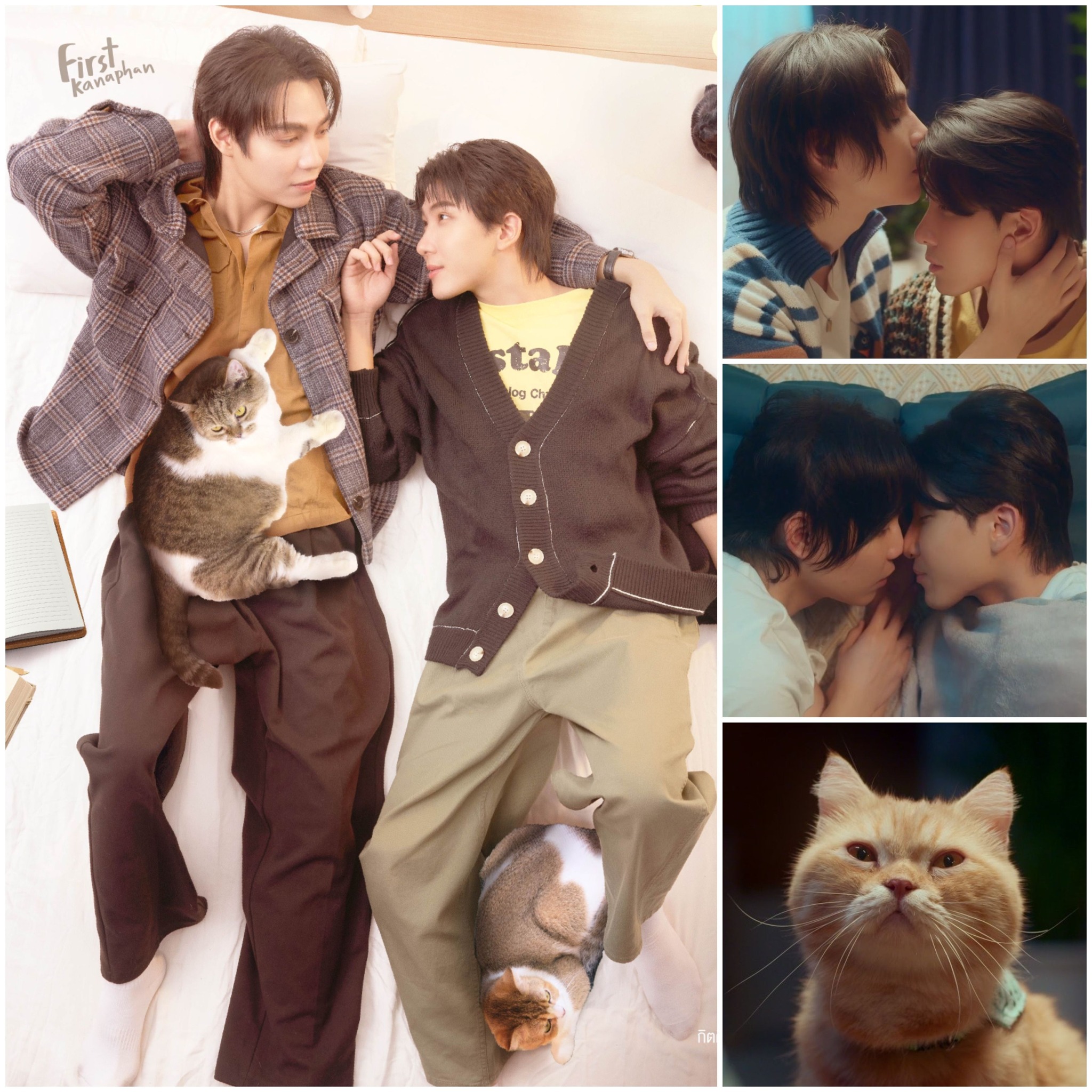 La serie “Cat For Cash”, protagonizada por First y Khaotung