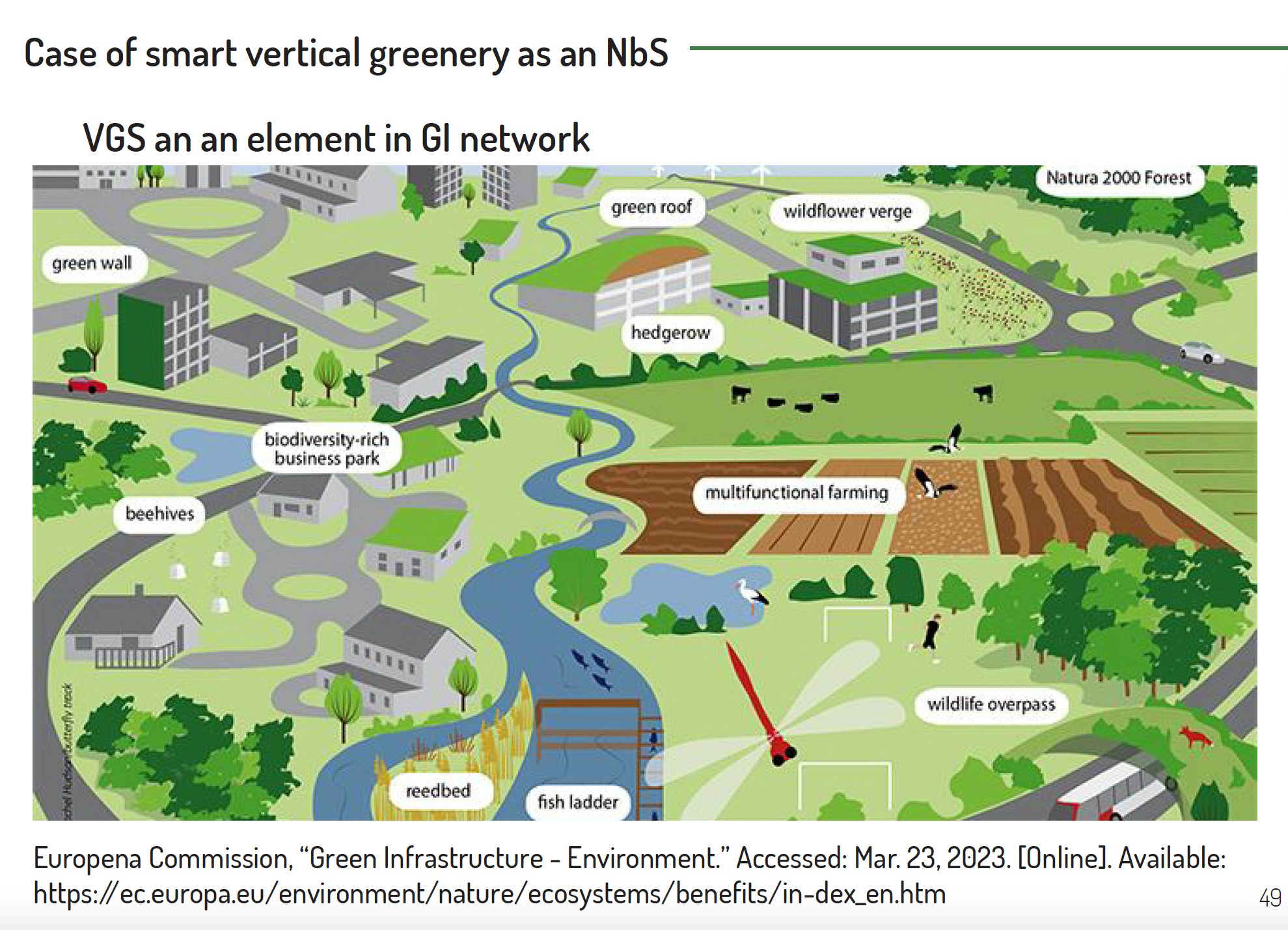 IMM - 🌿🏙 Nature-Based Solutions: The Key to Resilient Cities What if ...