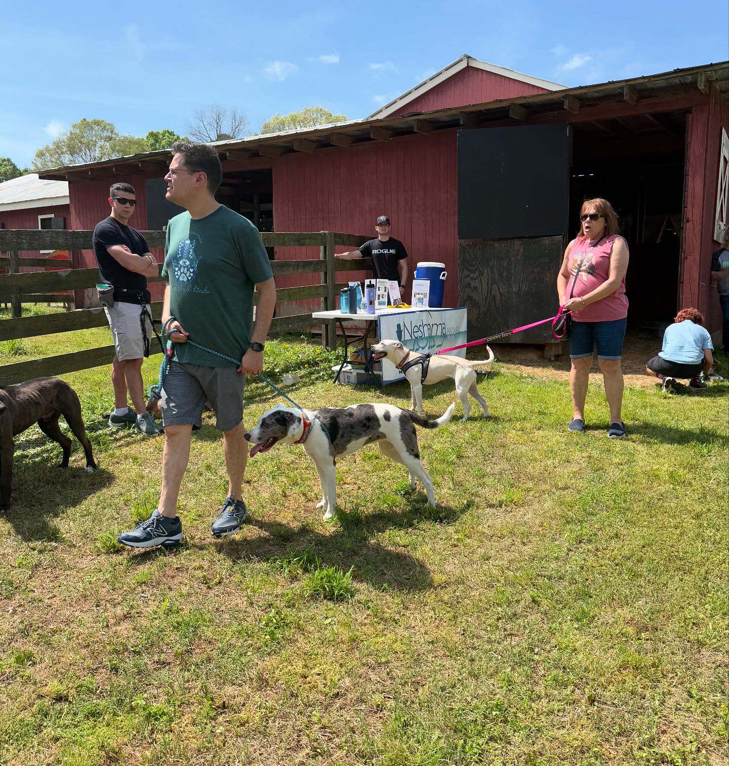 Neshama Animal Rescue | Raleigh NC
