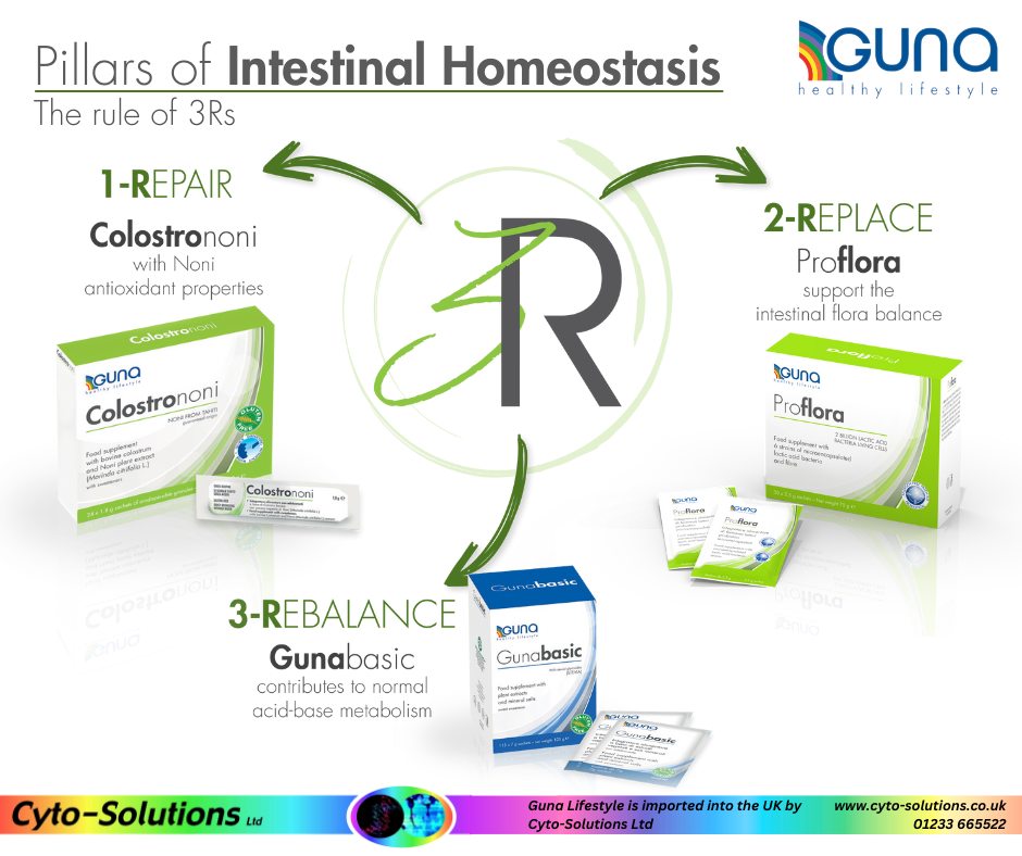 Guna - The balance of your intestinal microbiota is vital to your ...