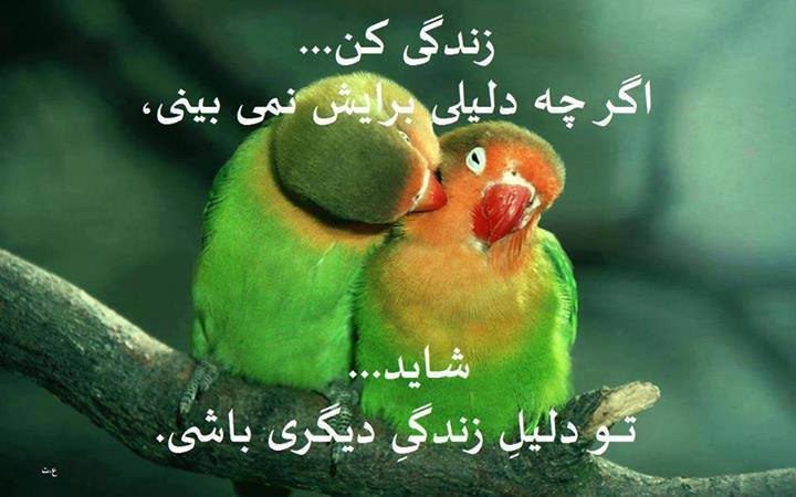 زنده گی