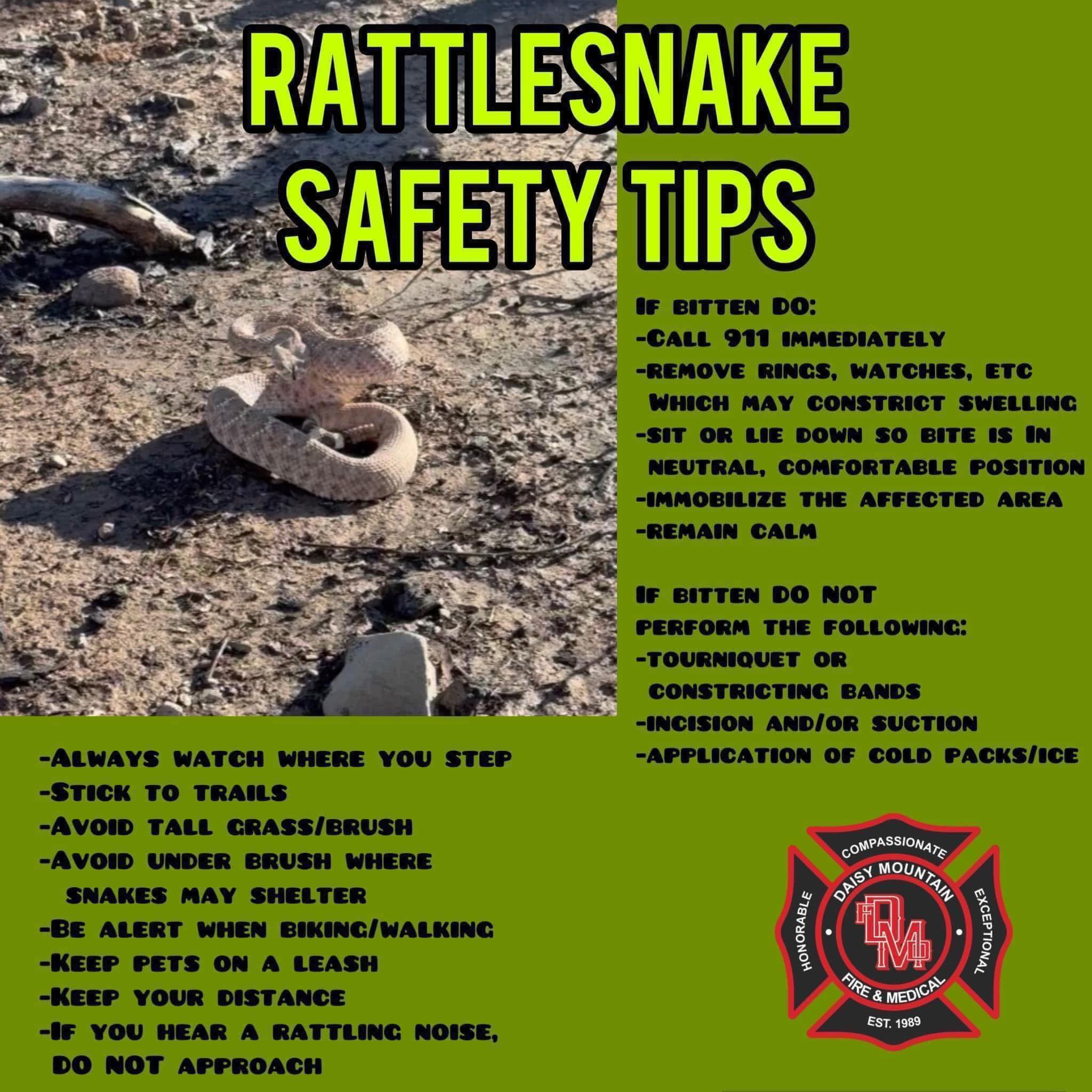 Daisy - Rattlesnake Safety Tips 🐍 Snakes are active this time of year ...