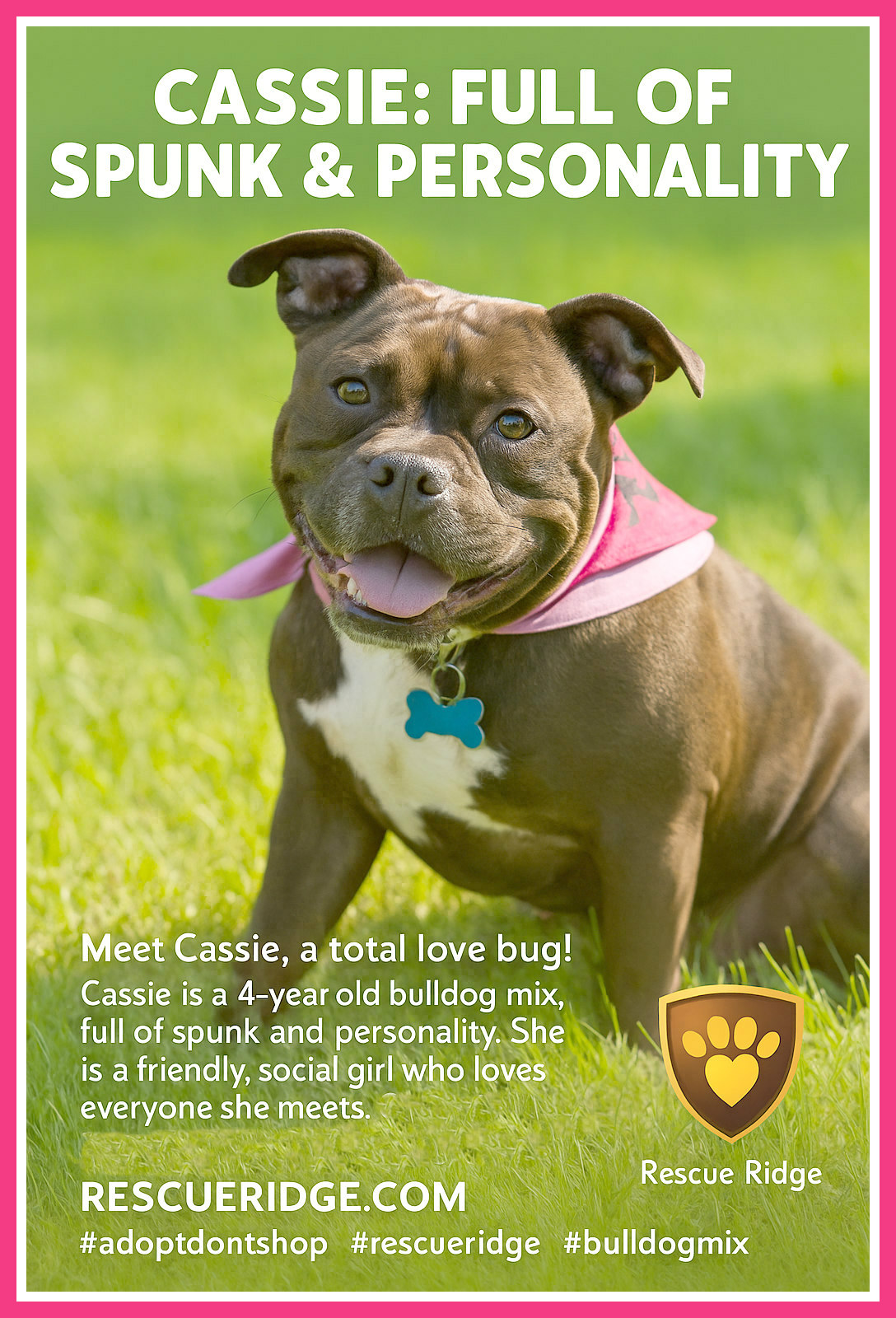 RESCUE RIDGE - Meet Cassie, a total love bug! Cassie is a... | Facebook