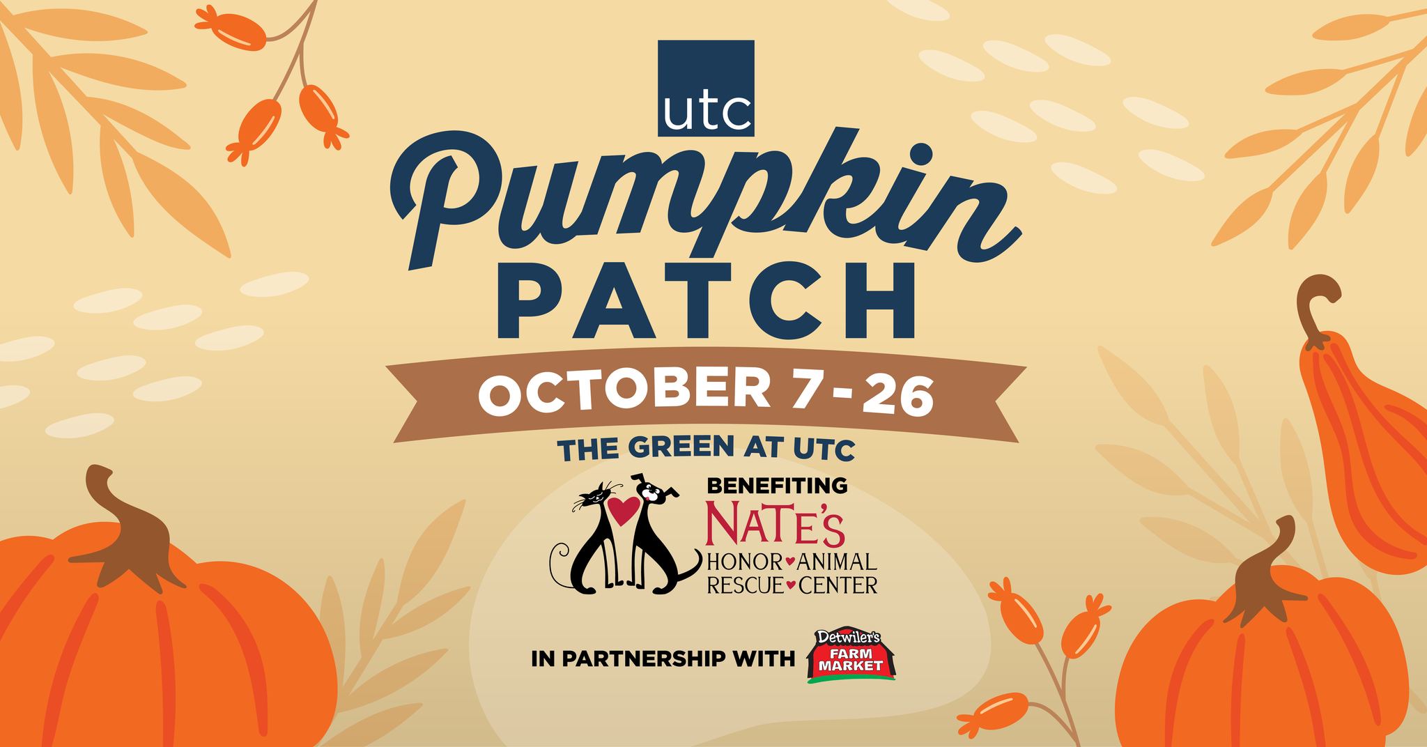 Pumpkin Patch at UTC