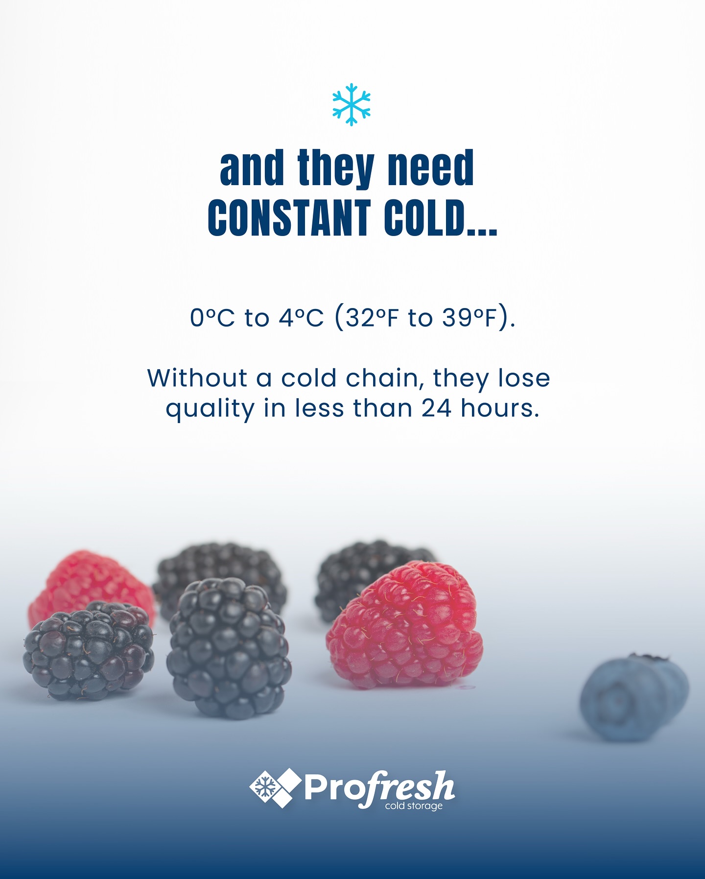 Pro-Fresh Cold Storage | McAllen TX