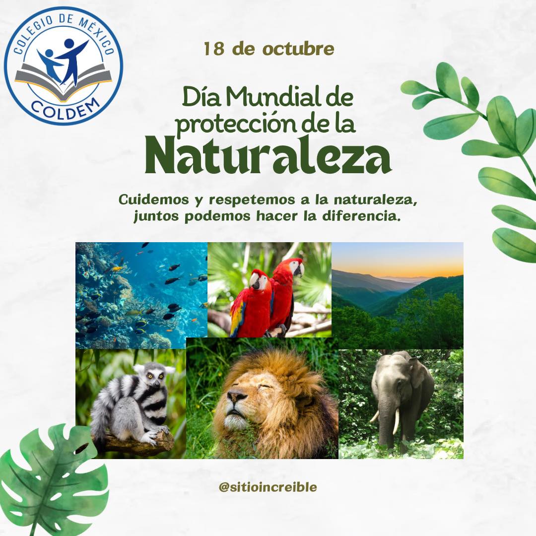 Coldem, - Día Internacional para la Protección de la Naturaleza El ...