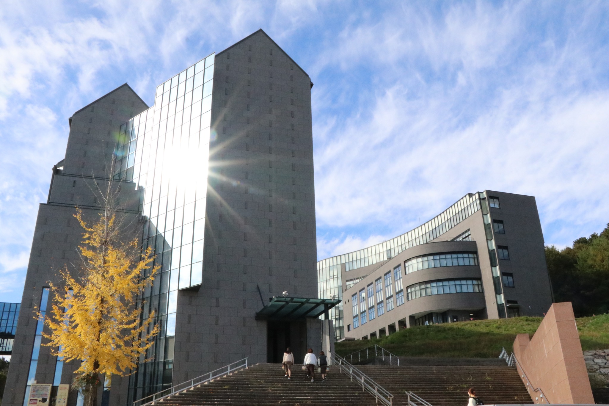山口 県立 大学