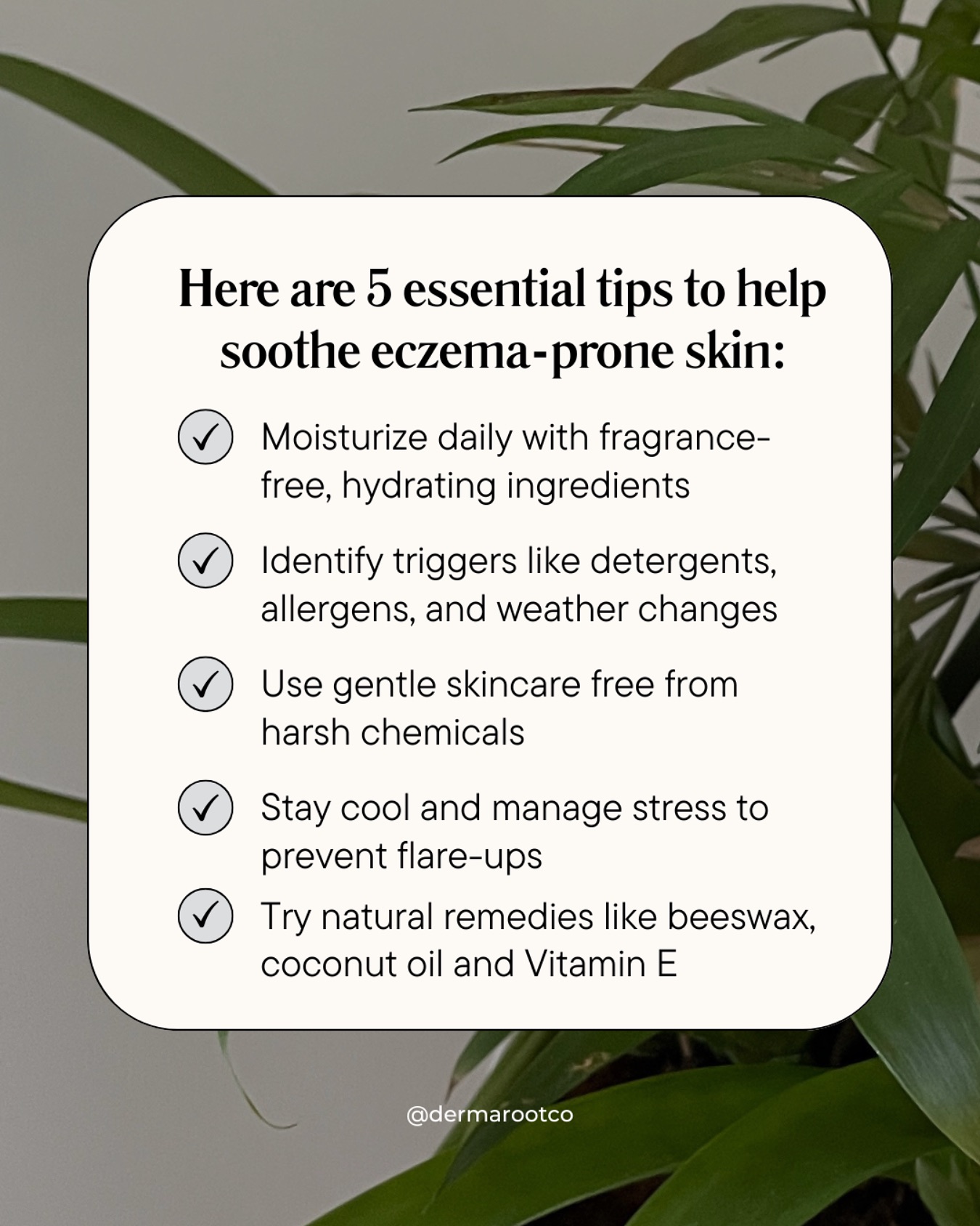 Derma Root | Oakdale NY