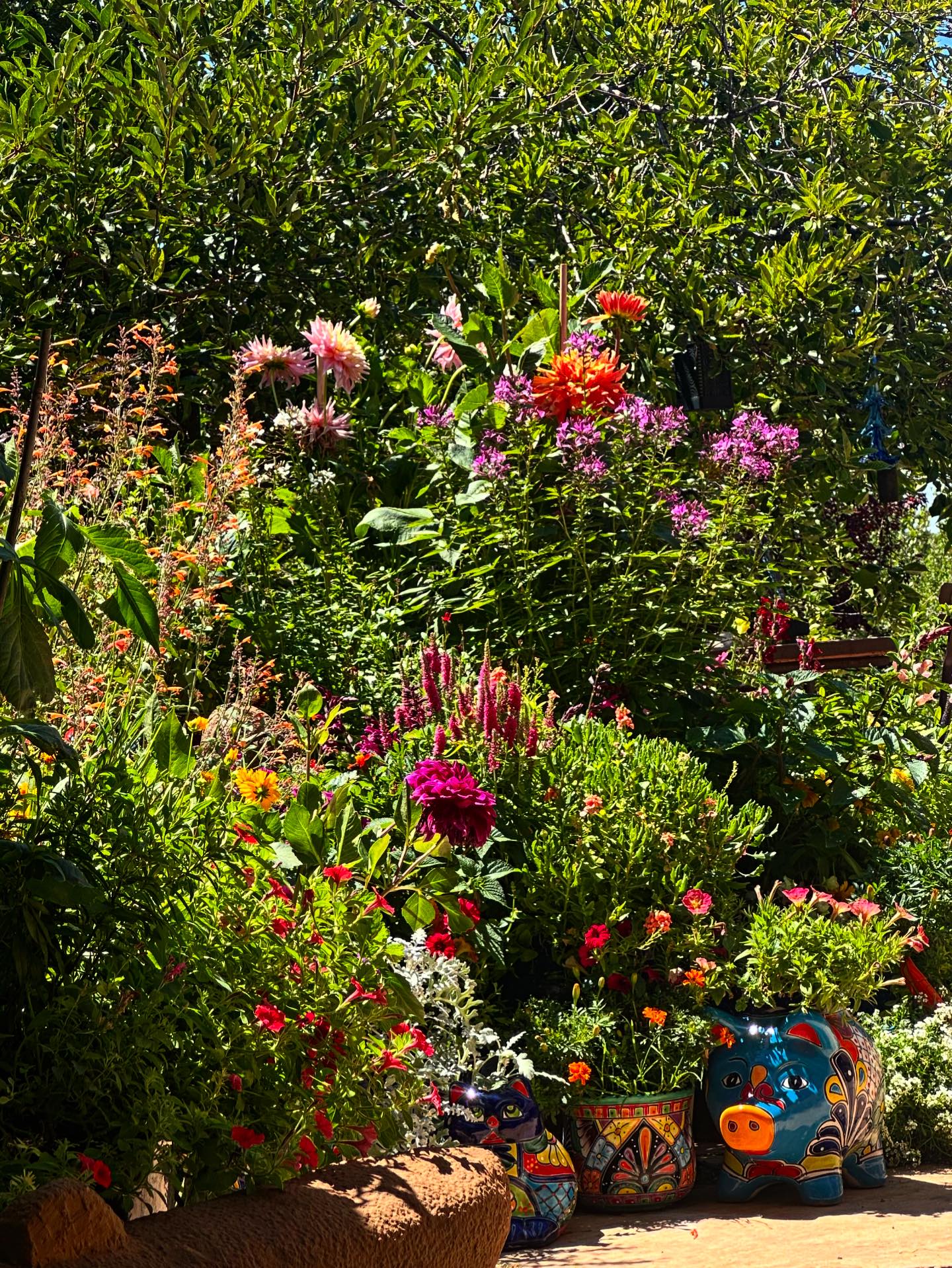 McCumber Fine Gardens | Santa Fe NM