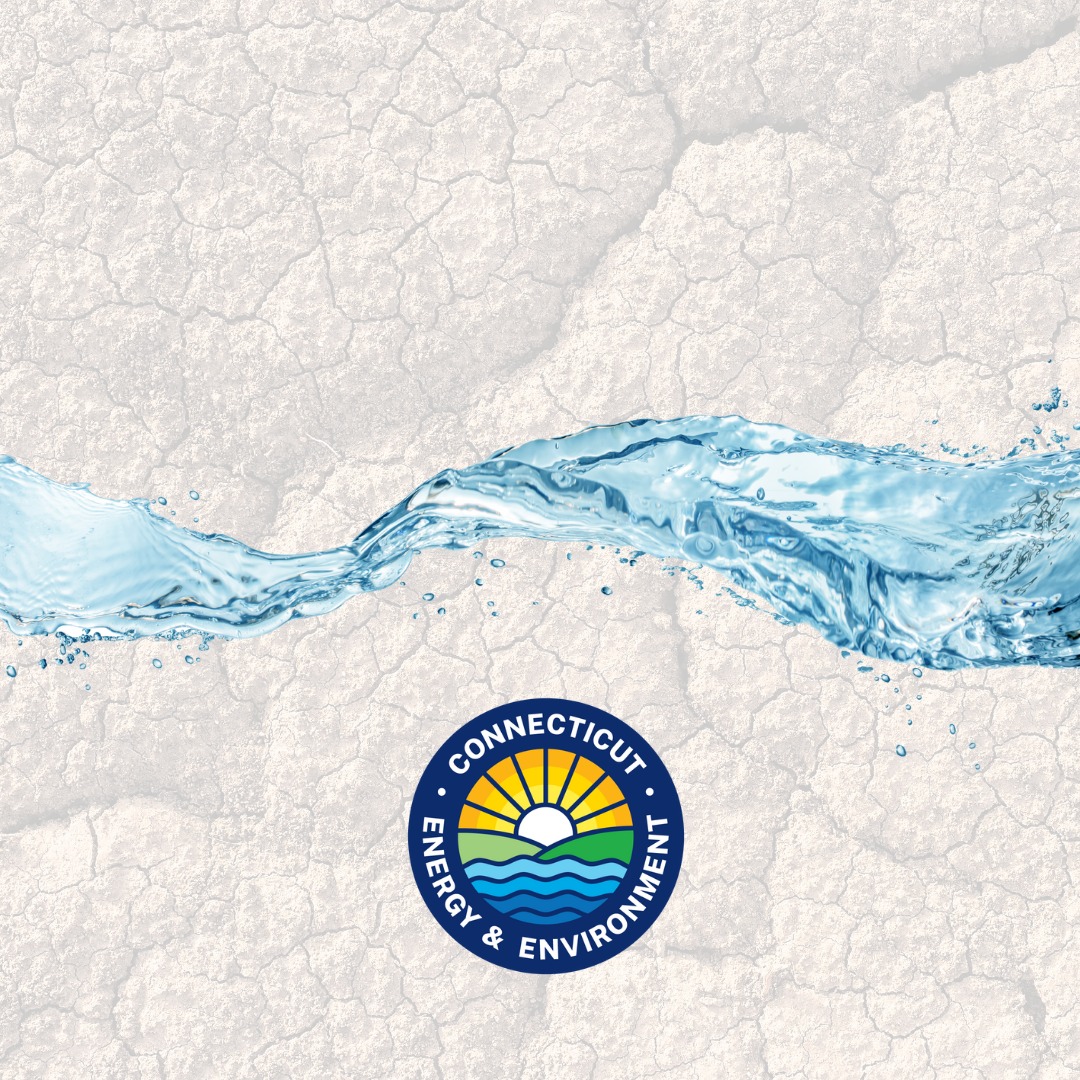 Connecticut Department of Energy & Environmental Protection (DEEP)