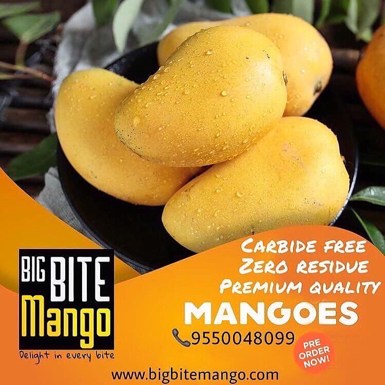 Bigbite Mango