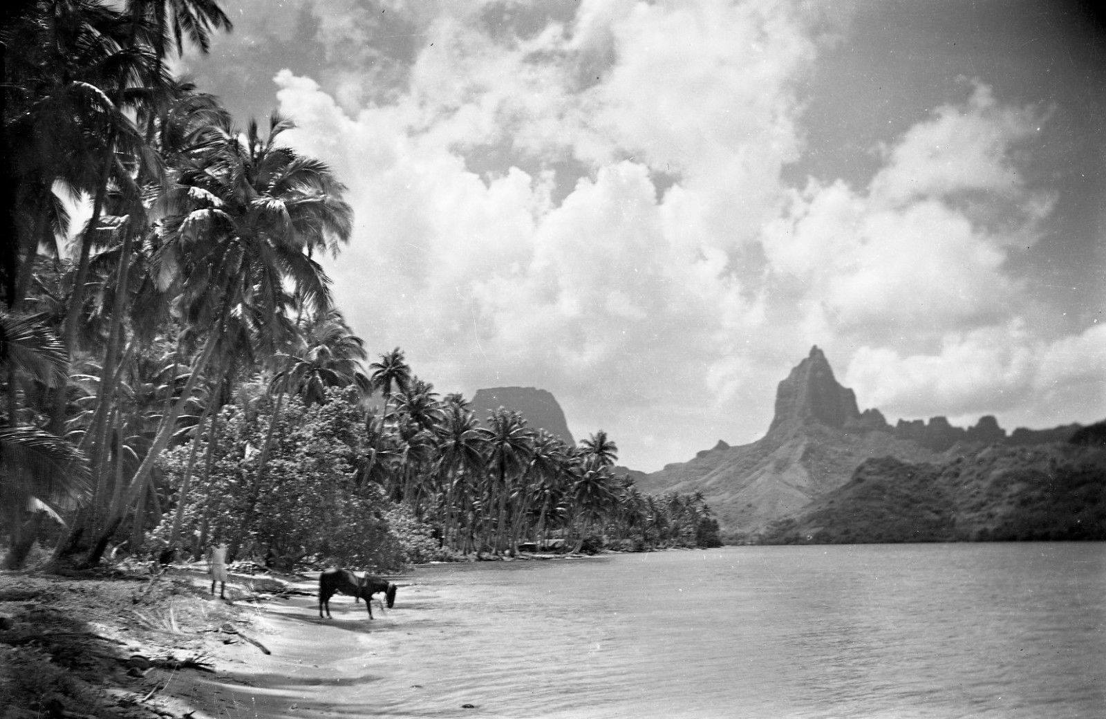 Albert - Moorea 1935 ; La baie de Opunohu , avec le Moua Roa , un ...