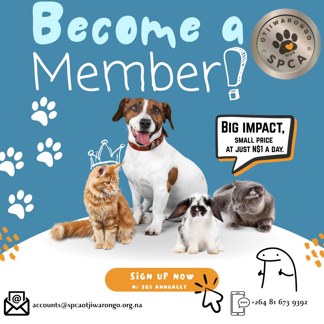 The Otjiwarongo SPCA is moving forward... - Otjiwarongo SPCA | Facebook