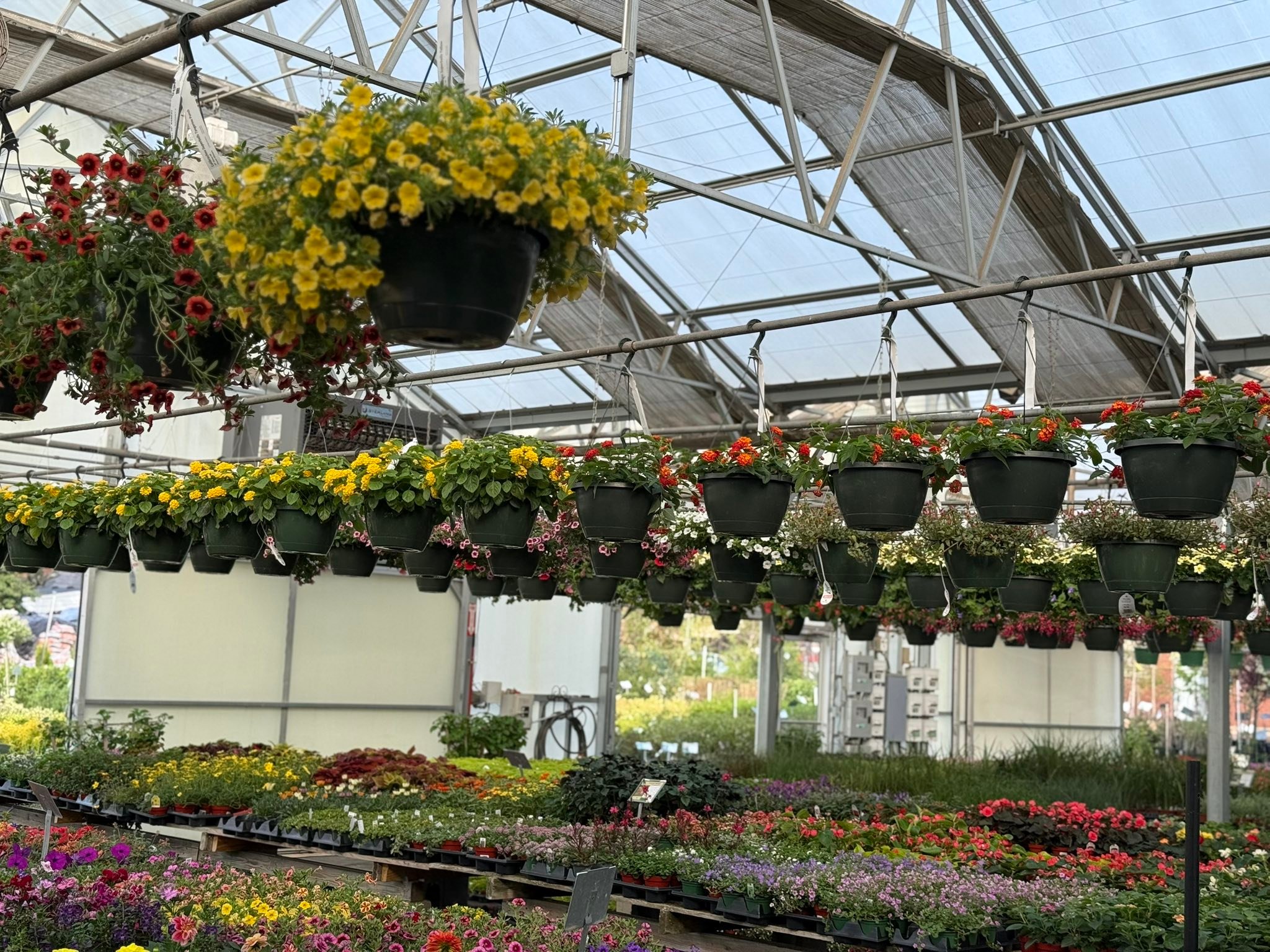 Frank Otte Nursery and Garden Center | Louisville KY