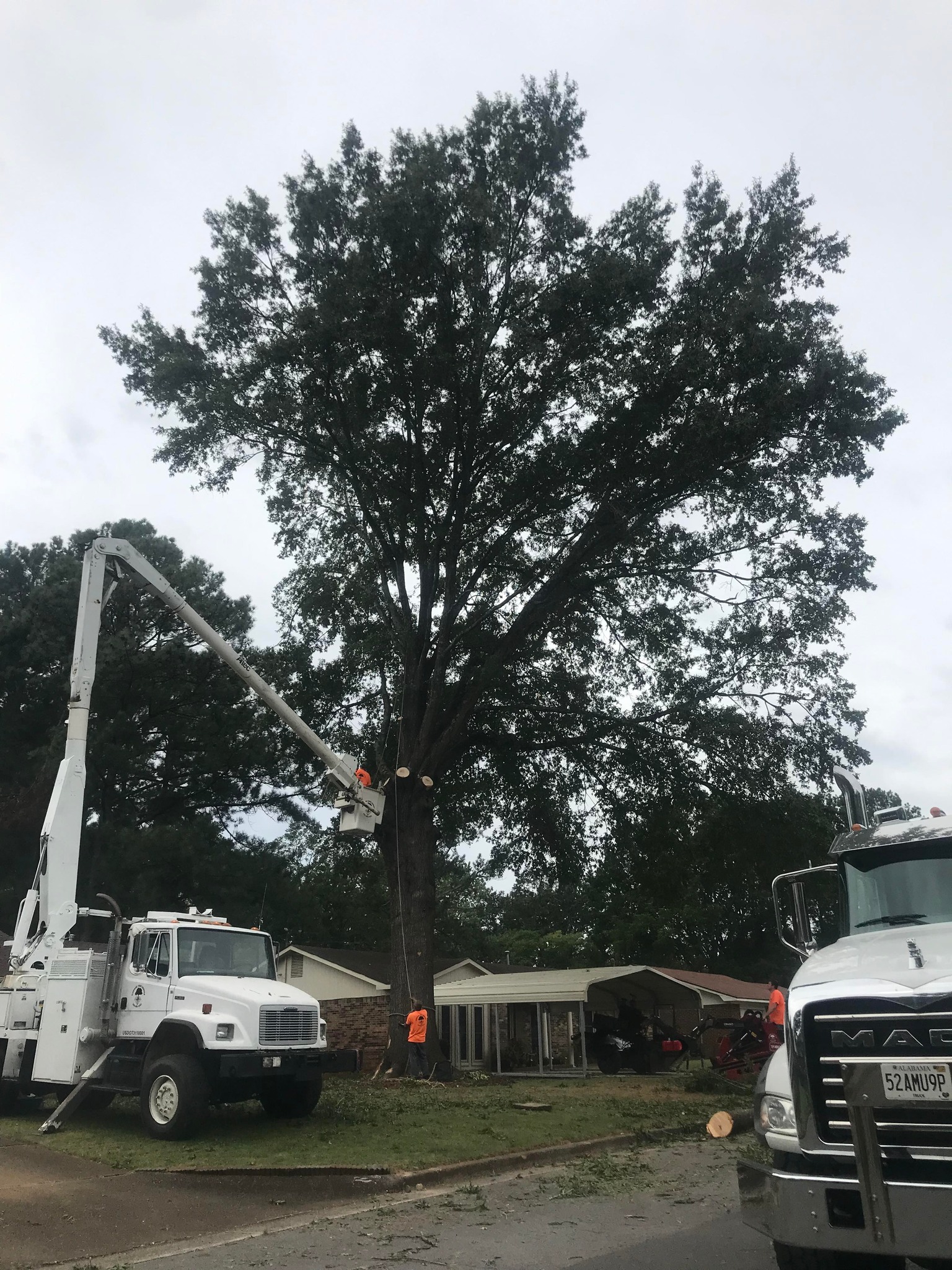 Diamond Tree Service | Decatur AL
