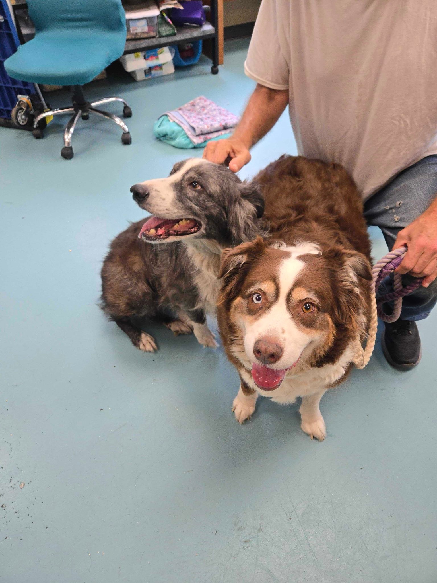 Portsmouth Humane Society | Portsmouth VA