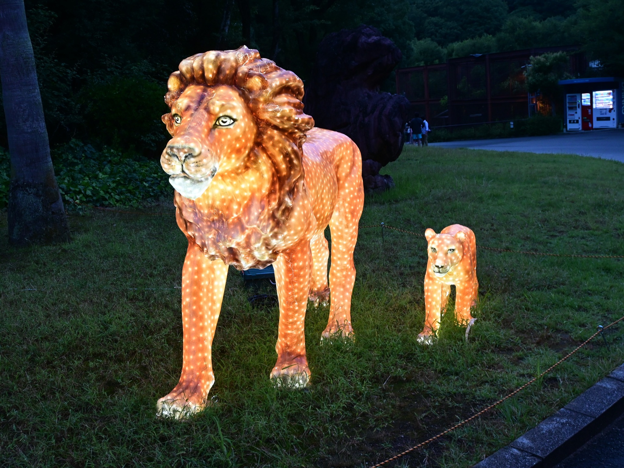 愛媛県立とべ動物園 - #夜の動物園2025 (秋の部)開催します 🦁開催日🦁... | Facebook