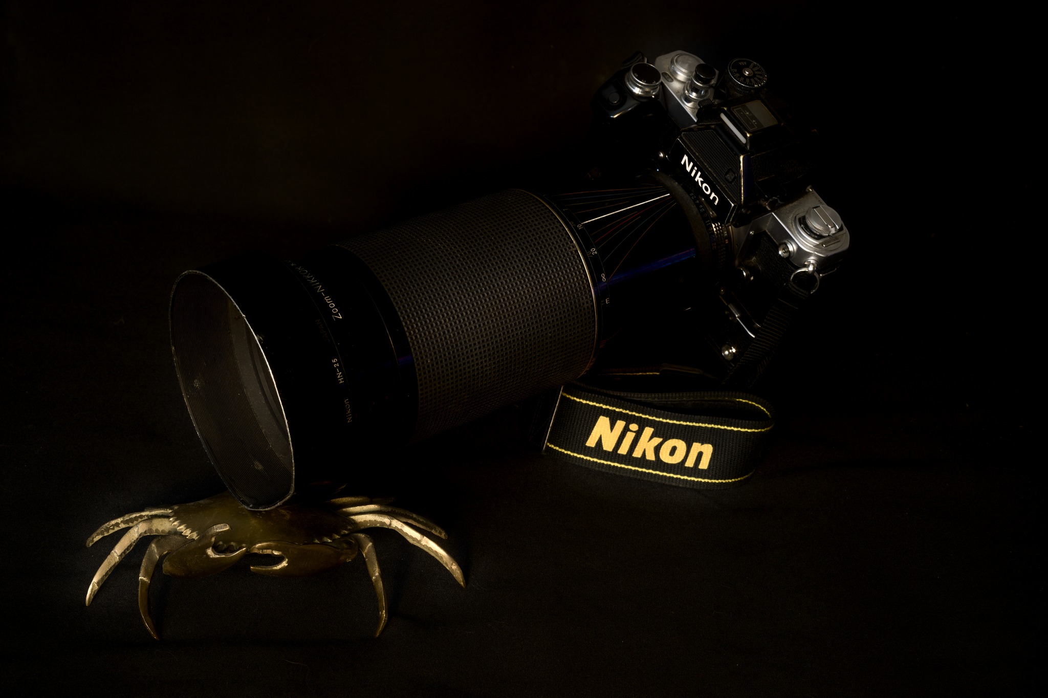 Nikon Z8 and D500 photos with 180-600mm and 200-500mm lenses