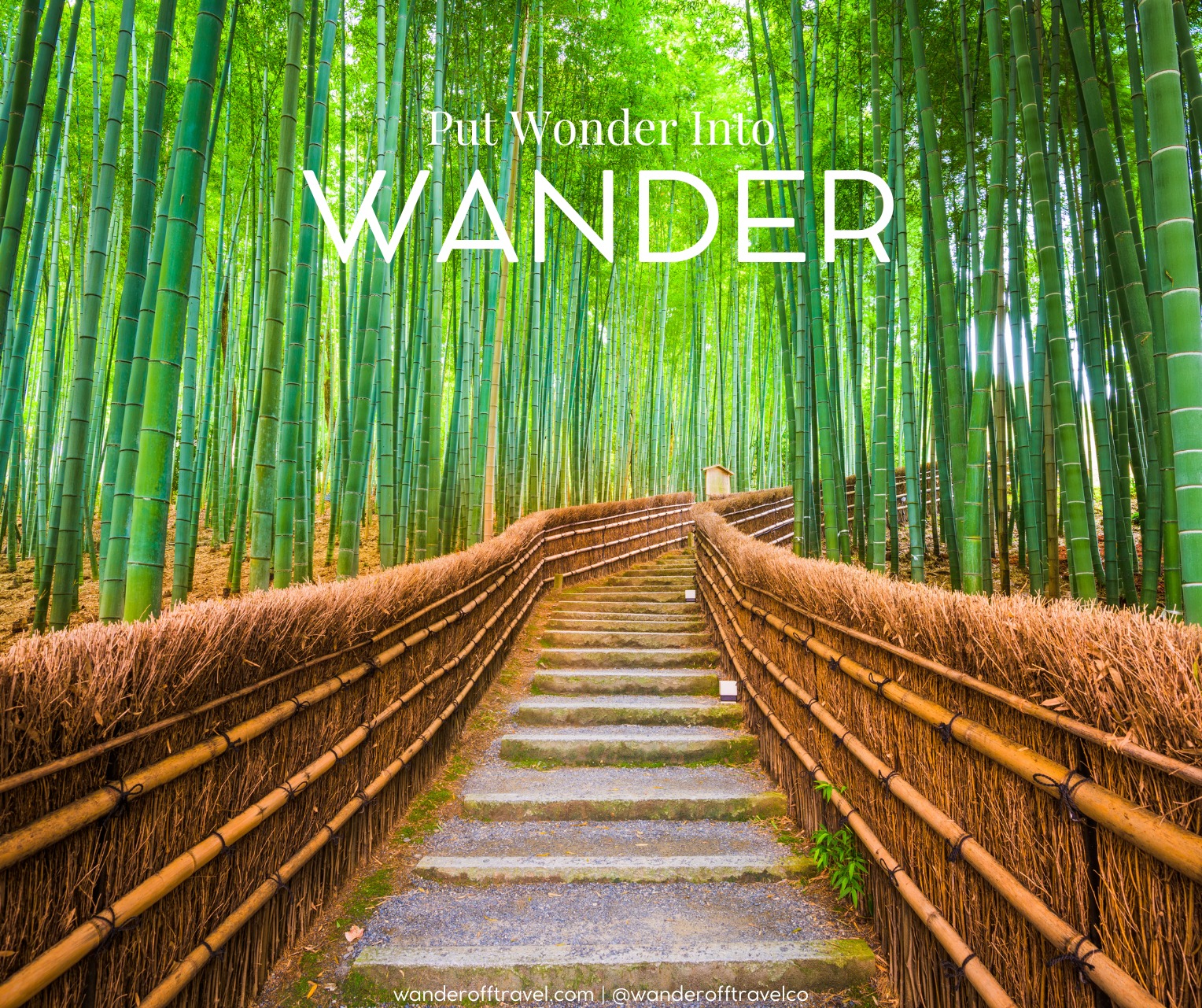 Wander Off Travel | Orlando FL