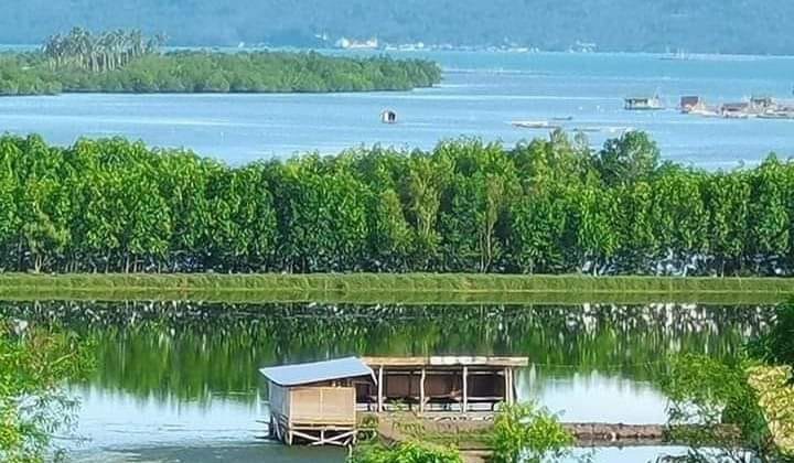 Municipality of Inabanga, Bohol