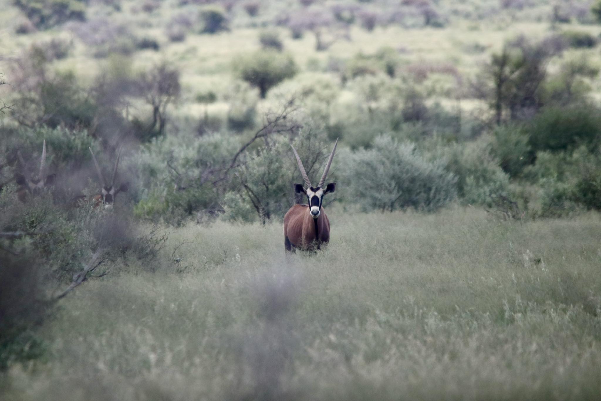 van-heerden-boerdery-boshof