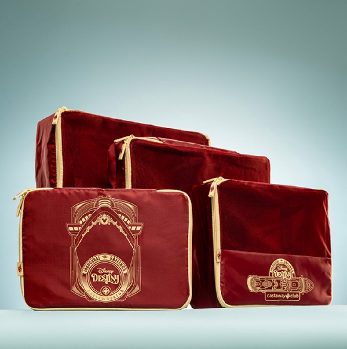 Disney Cruise Line has unveiled the Castaway Club gifts for the