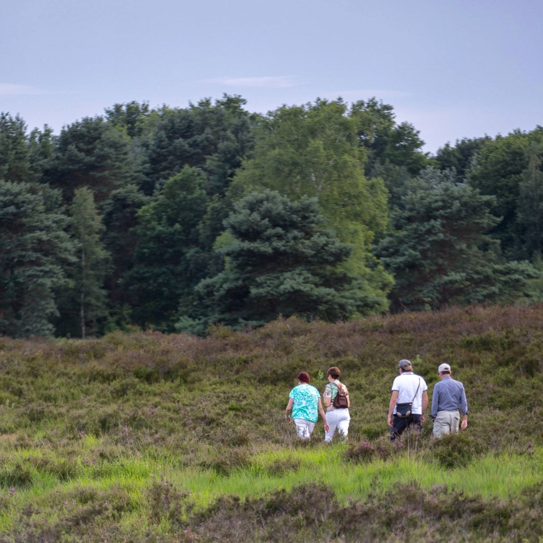 Vlaamse Landmaatschappij (VLM) - Verschillende rust en picknickplekken ...