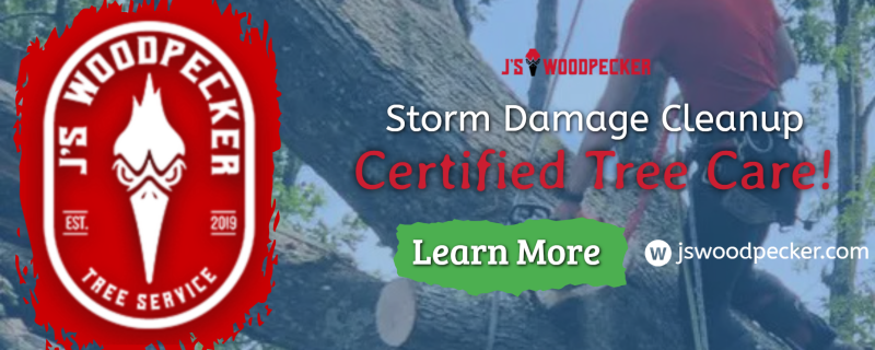 J’S Woodpecker Tree Service | Acworth GA