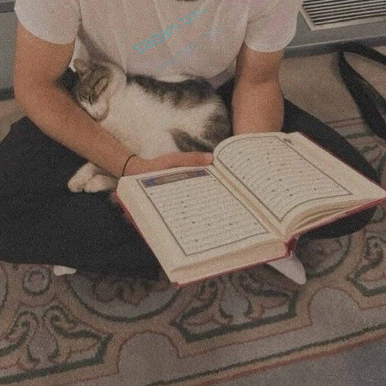 Sadam Boru Oumer